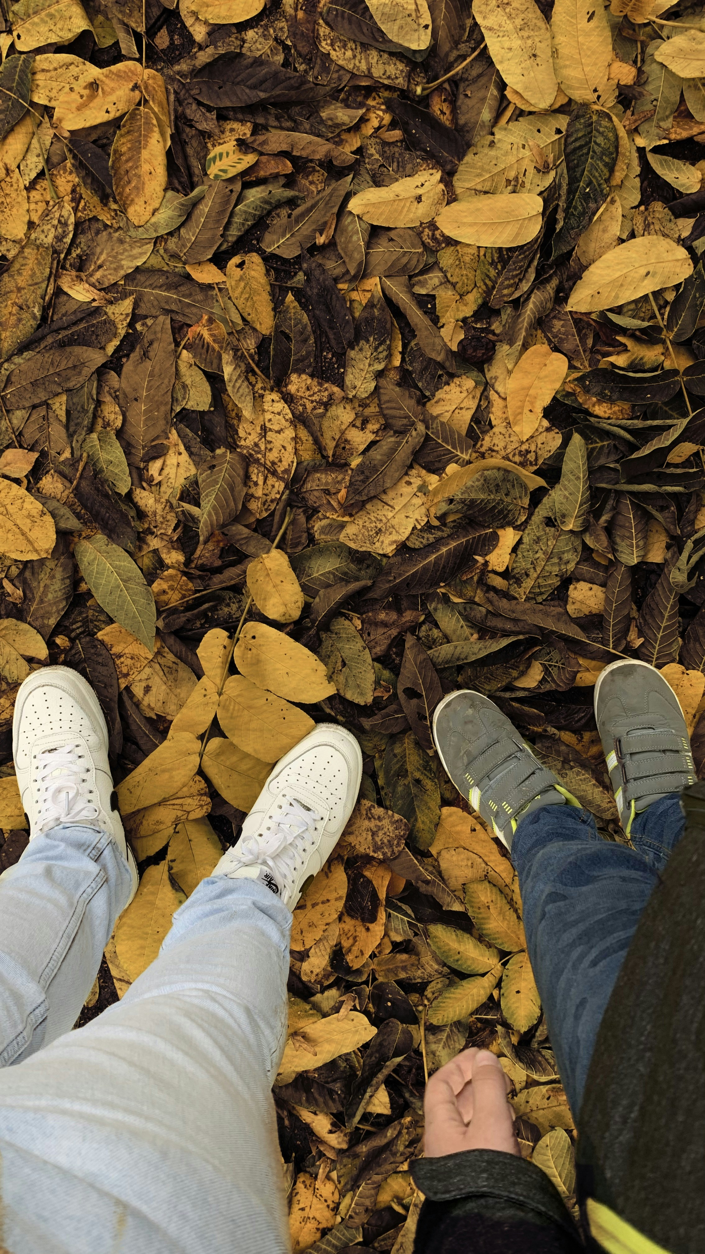 Photo by vladisvlavd