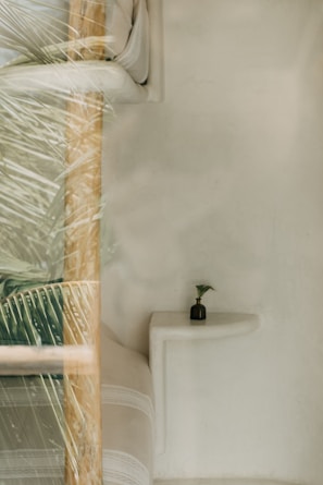 A minimalist interior featuring a smooth white wall, a light-colored cushioned seating area, and a small dark vase with a green plant placed on a white ledge. There is a glass reflection showing some palm leaves, adding a natural element to the scene.