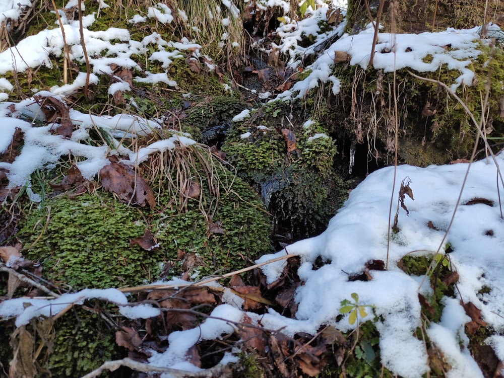 a stream with snow on the sides