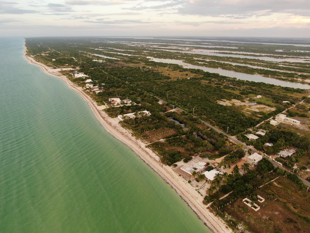 an aerial view of a beach and ocean