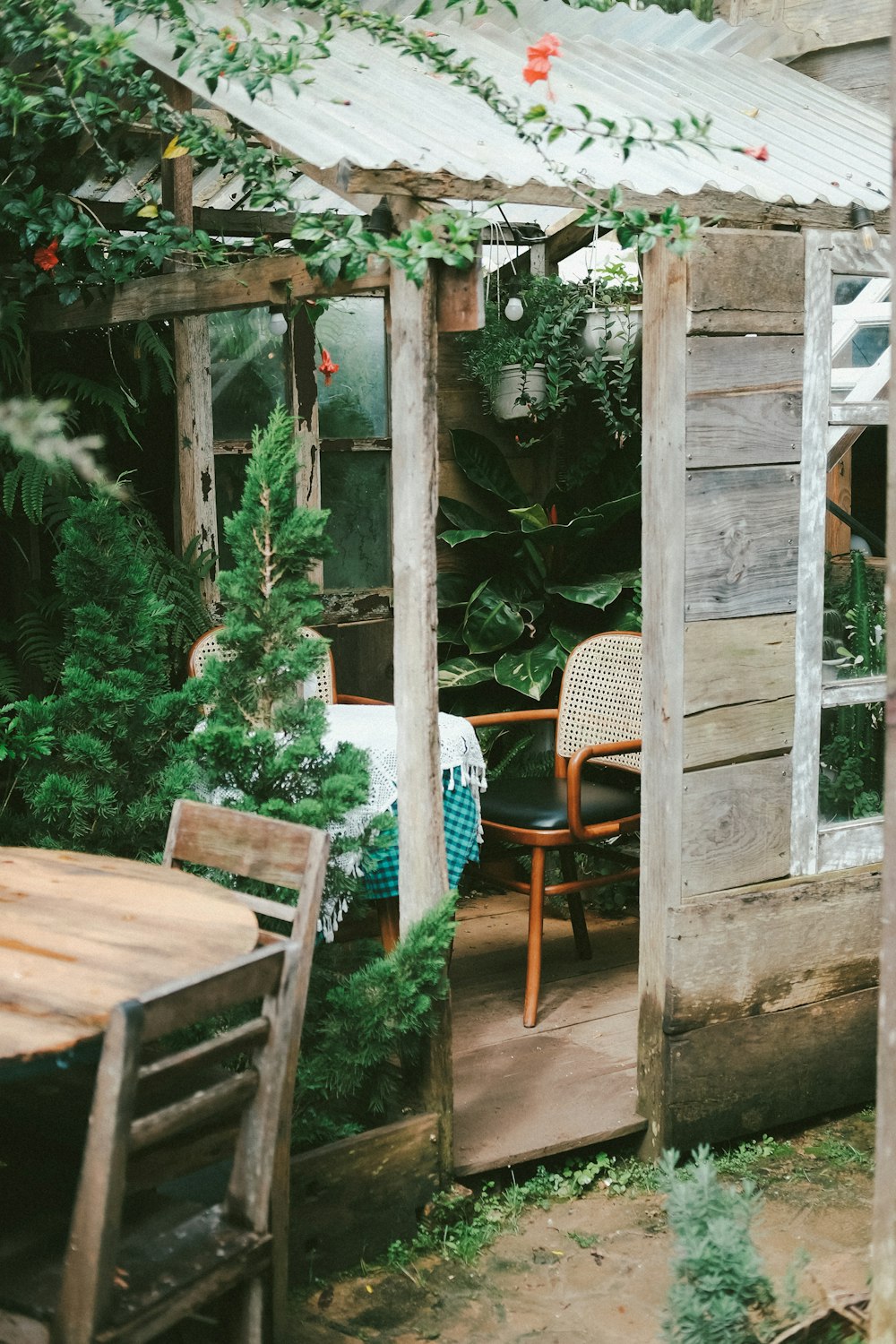 una piccola casa di legno