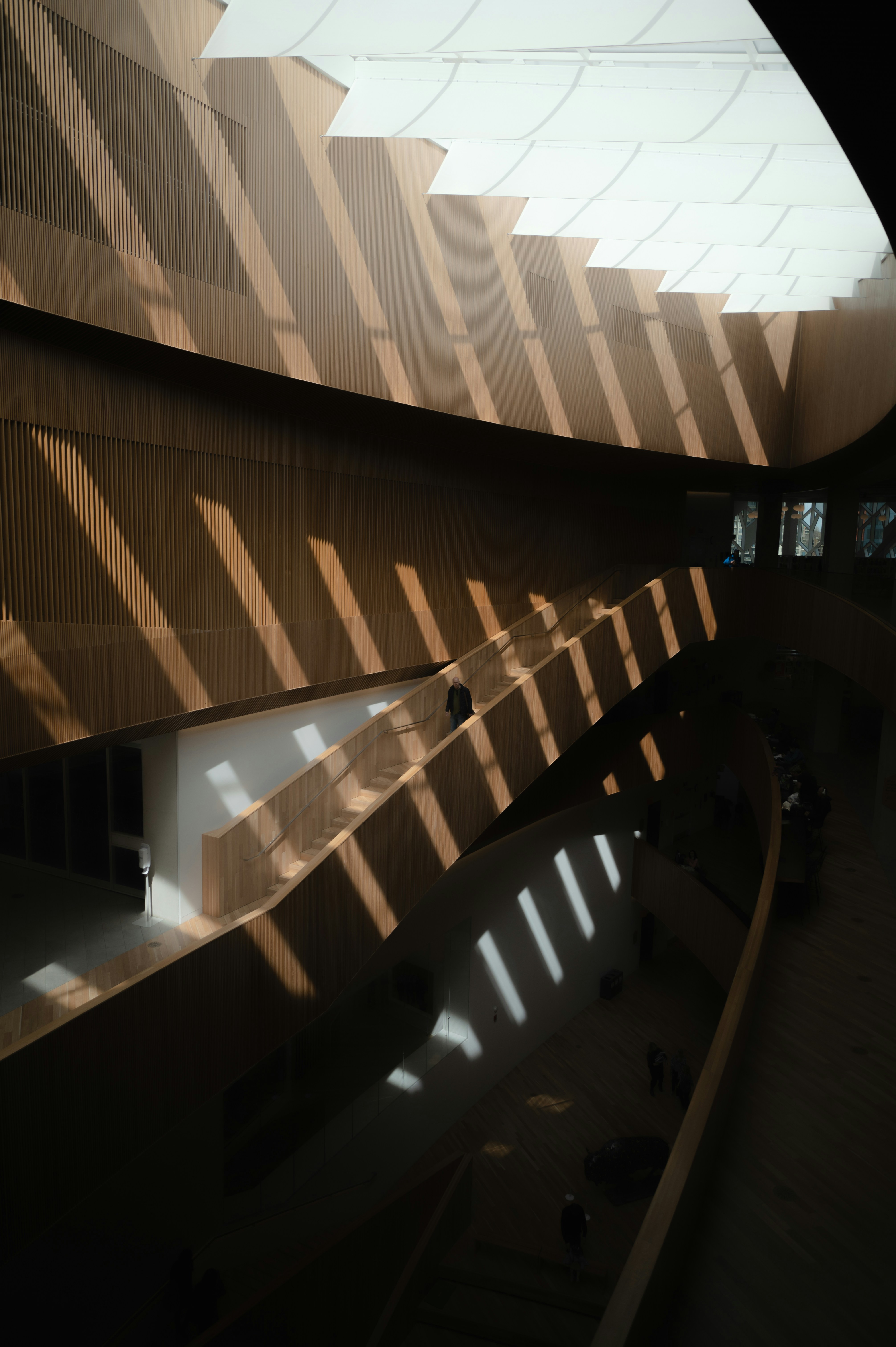 Photo by ryunosuke_kikuno