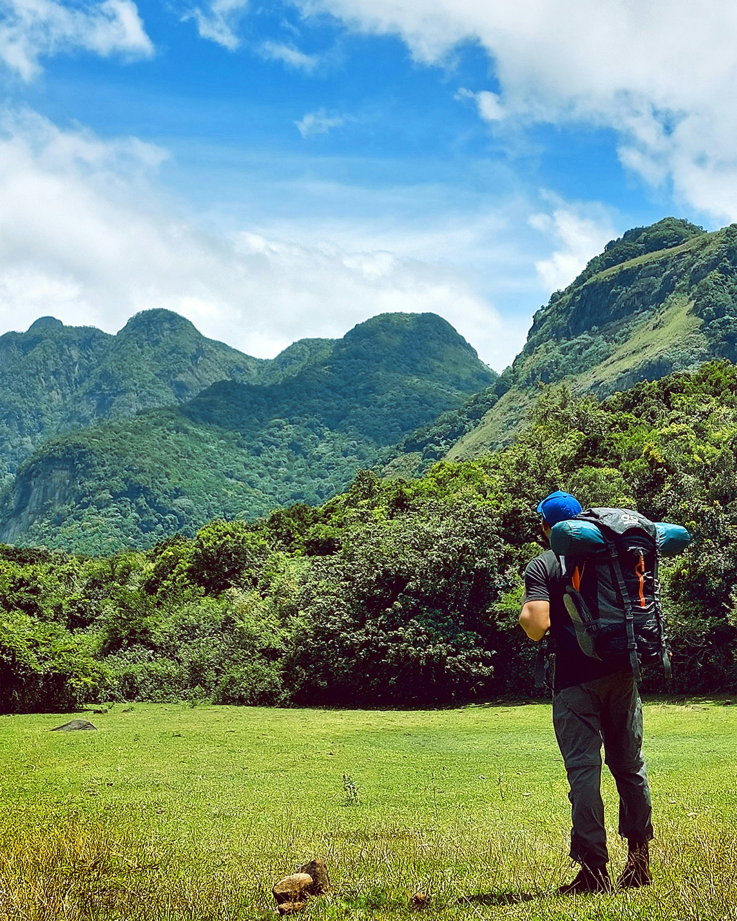 Eine Person mit einem Rucksack, der auf einem grasbewachsenen Feld mit Bäumen und Bergen im Hintergrund steht
