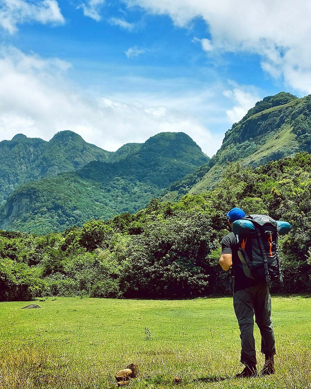 a person with a backpack standing in a grassy field with trees and mountains in the background