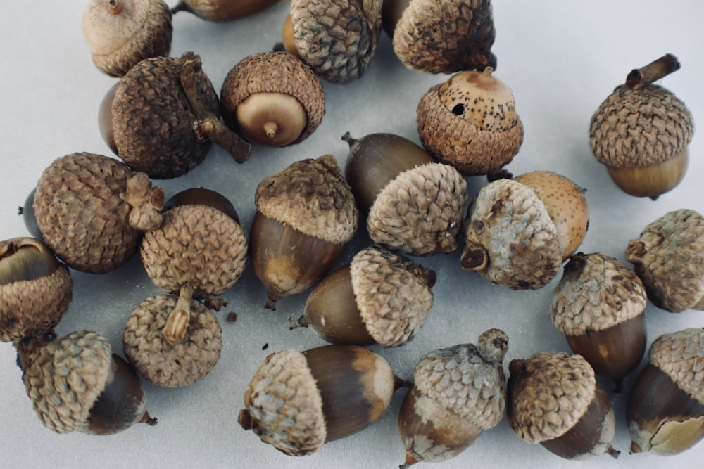 a group of brown round objects