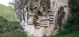 Wooden coffins are mounted on the side of a sheer rock cliff, surrounded by lush greenery and trees. The weathered appearance of the coffins suggests an ancient burial practice. Some coffins have names painted or carved on them, and they are stacked at varying angles.