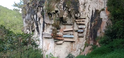 Wooden coffins are mounted on the side of a sheer rock cliff, surrounded by lush greenery and trees. The weathered appearance of the coffins suggests an ancient burial practice. Some coffins have names painted or carved on them, and they are stacked at varying angles.