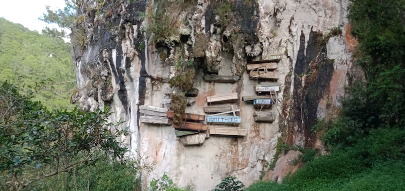 Wooden coffins are mounted on the side of a sheer rock cliff, surrounded by lush greenery and trees. The weathered appearance of the coffins suggests an ancient burial practice. Some coffins have names painted or carved on them, and they are stacked at varying angles.