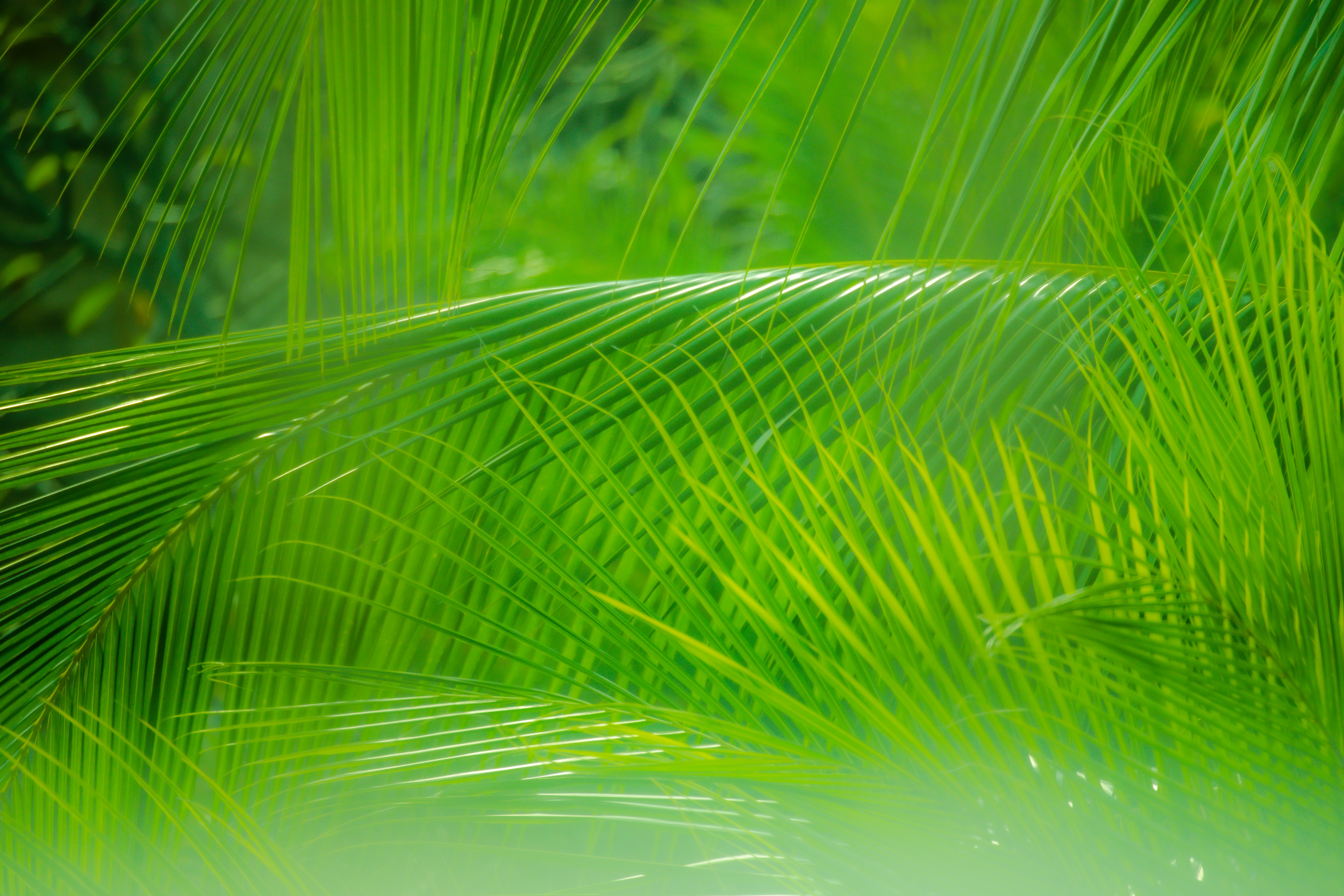 Photo by arttoinspire