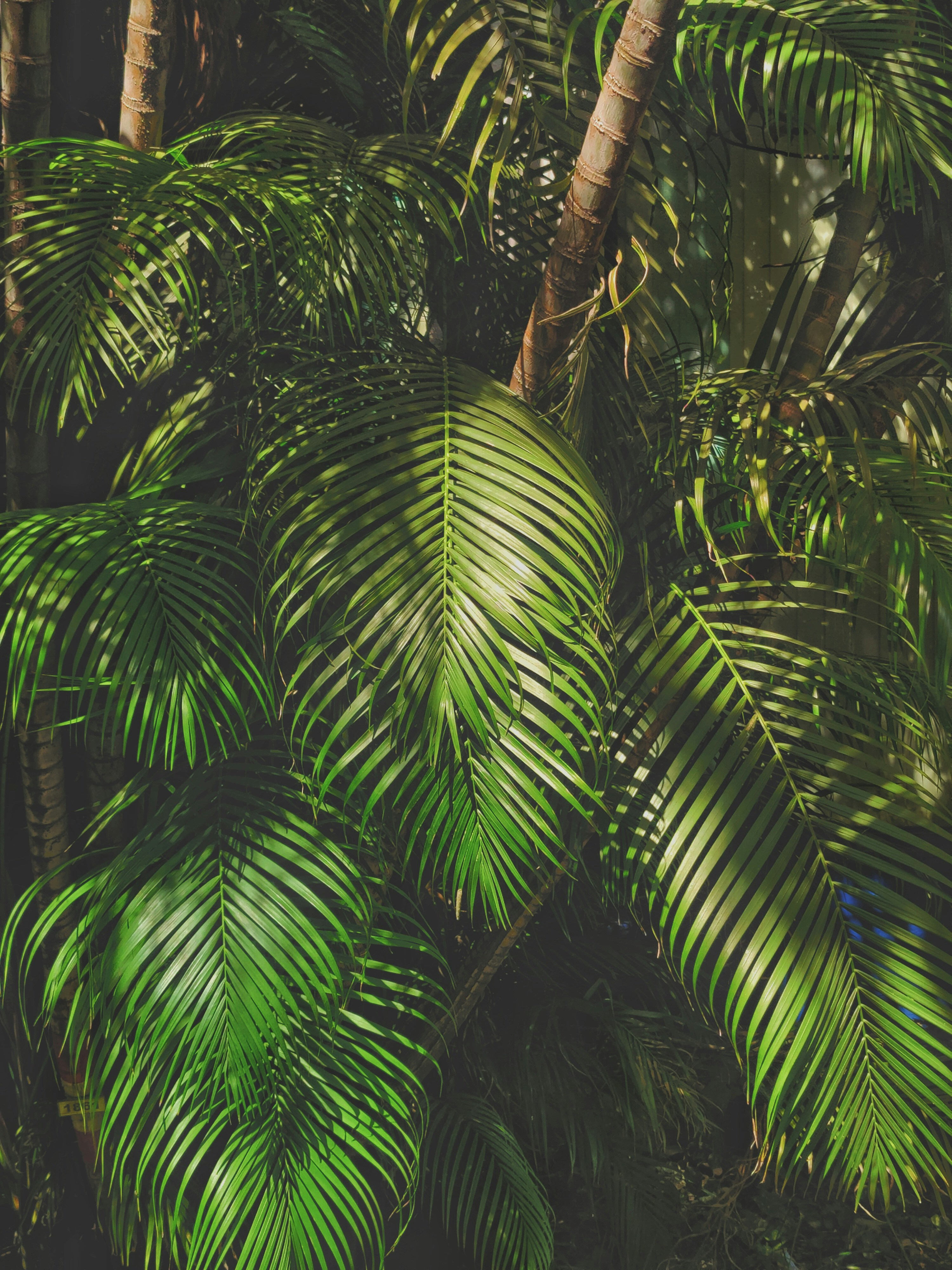 Photo by yasmeen__singh