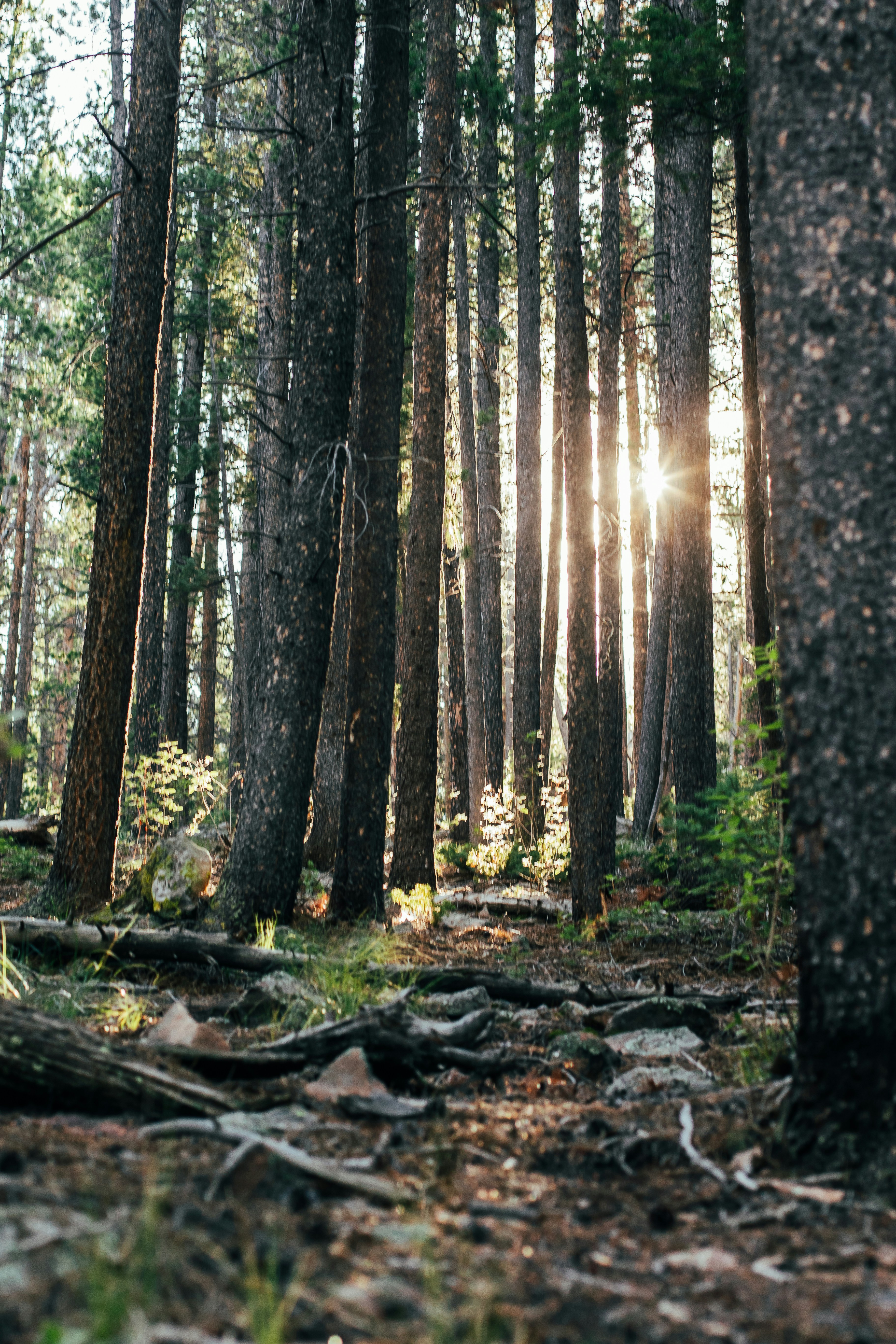 Photo by bcolbyphoto