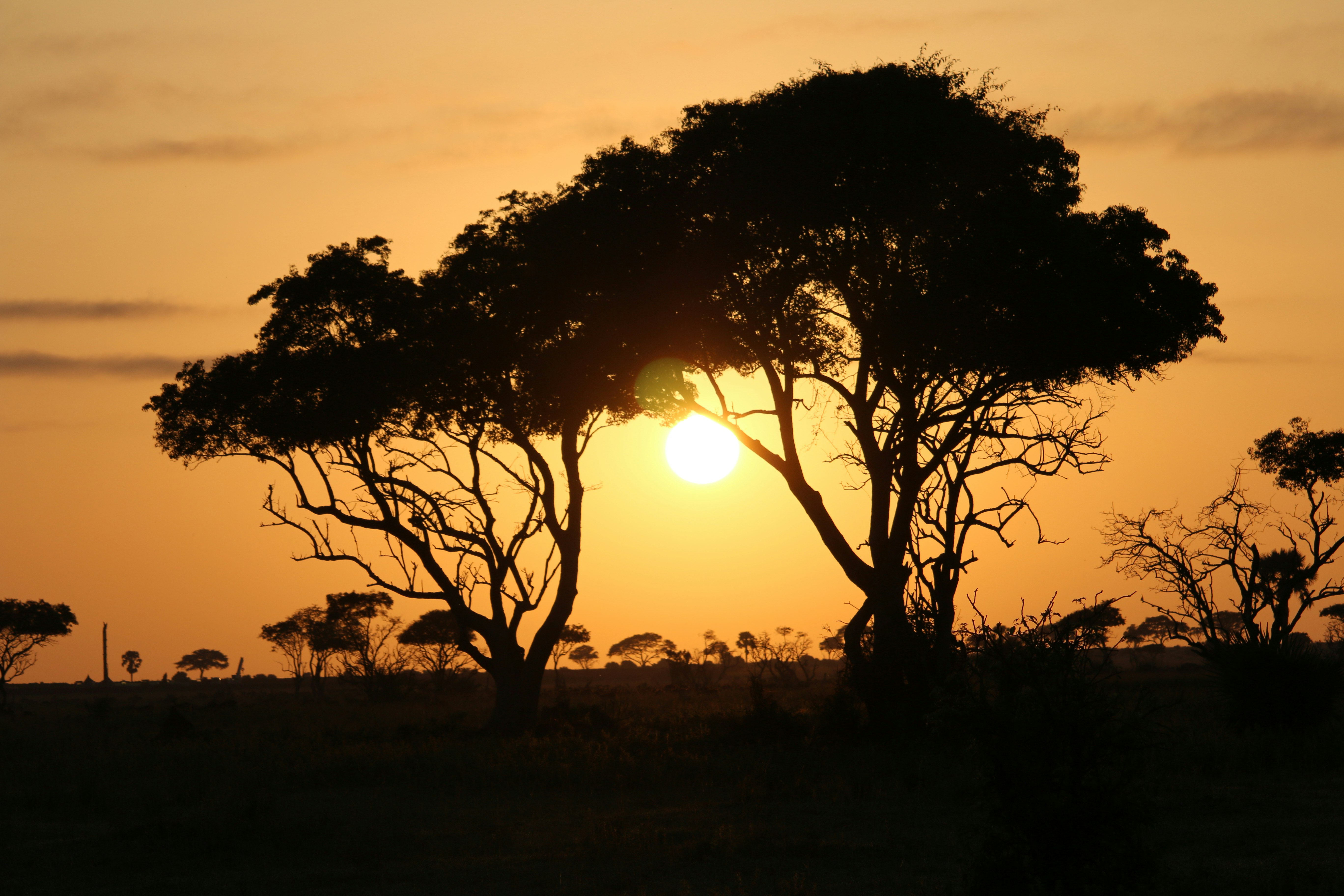 Murchison Falls National Park Uganda, Masindi, Uganda
