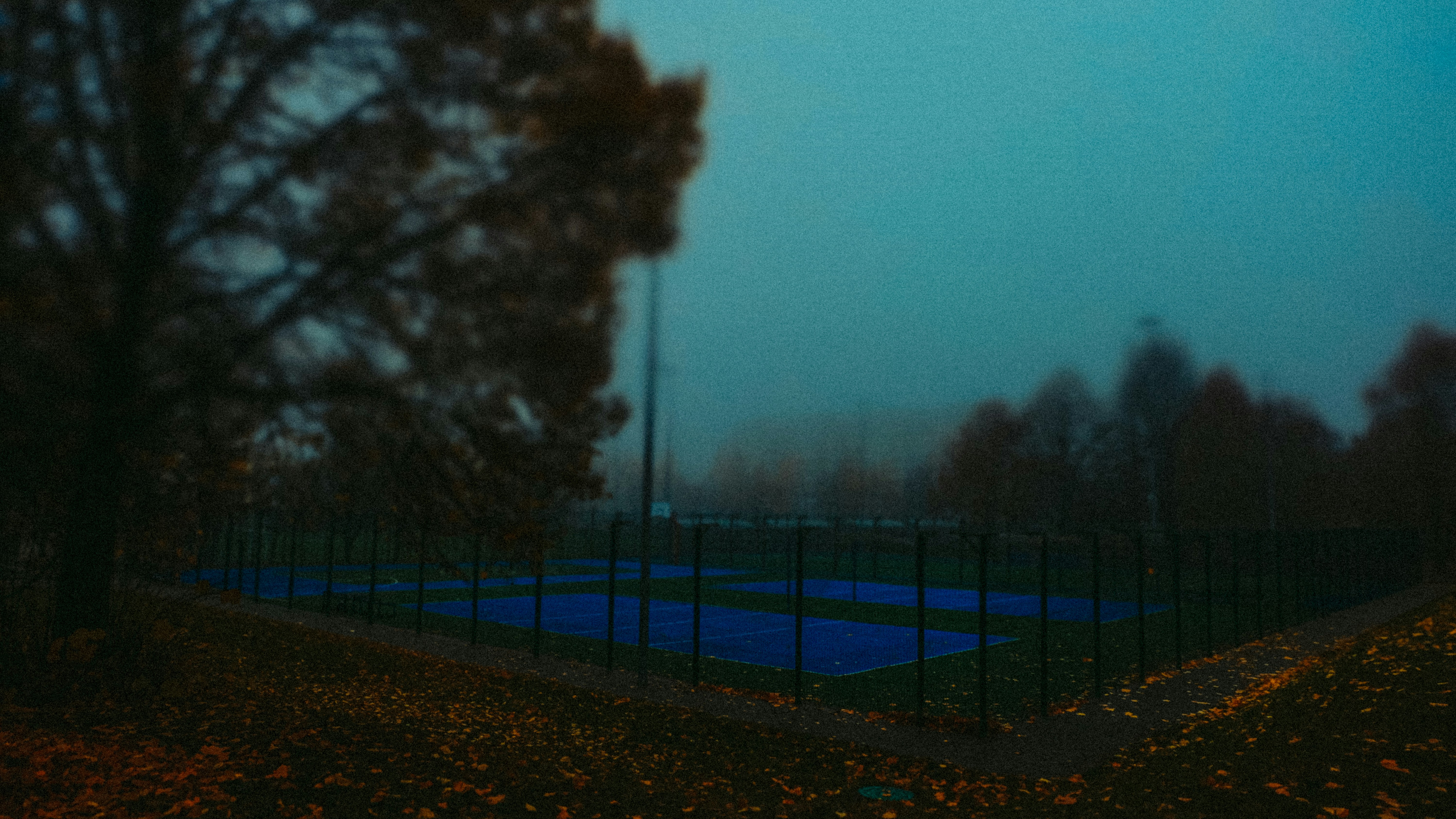 a fence with trees and a road