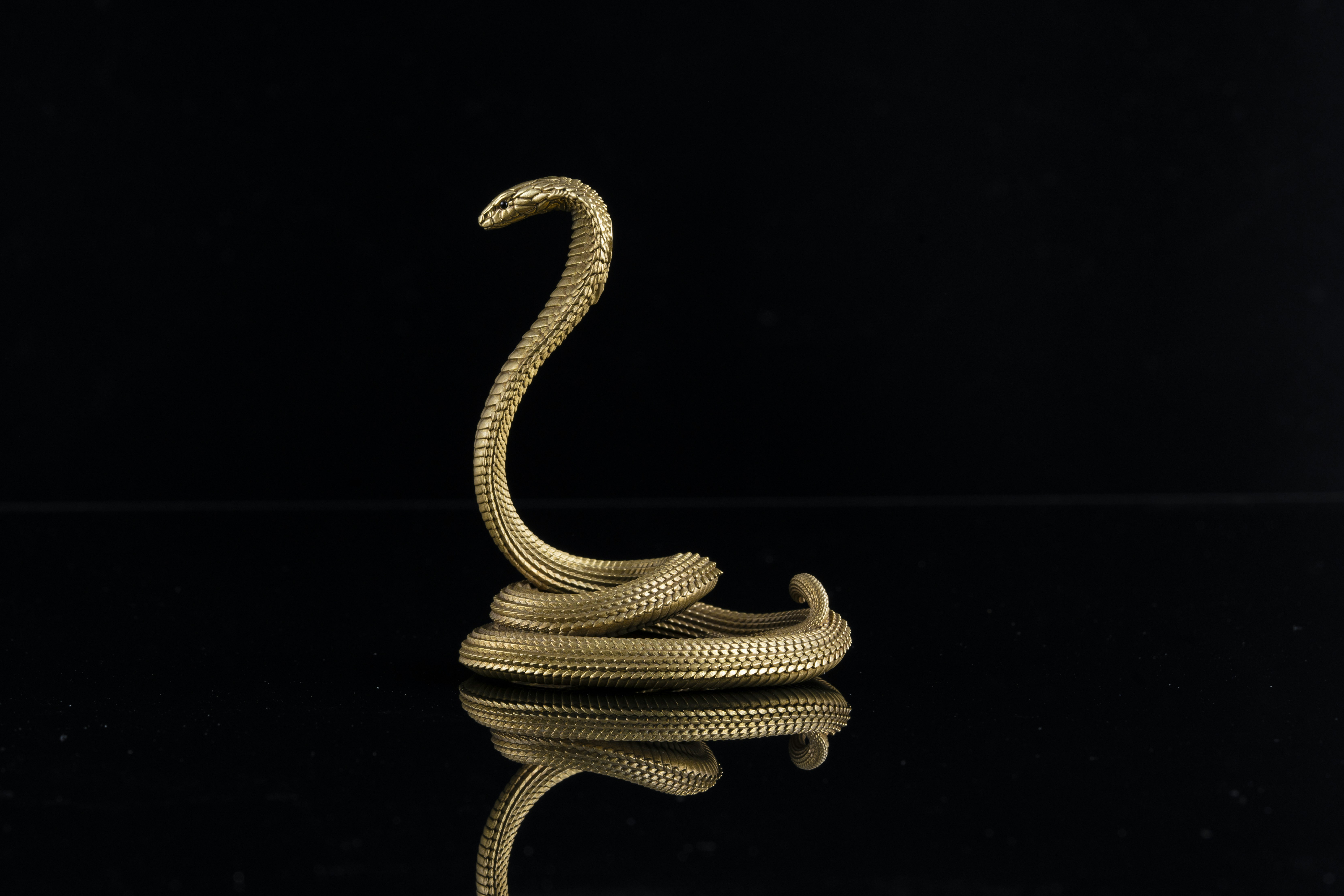 Photo by coppertistwu