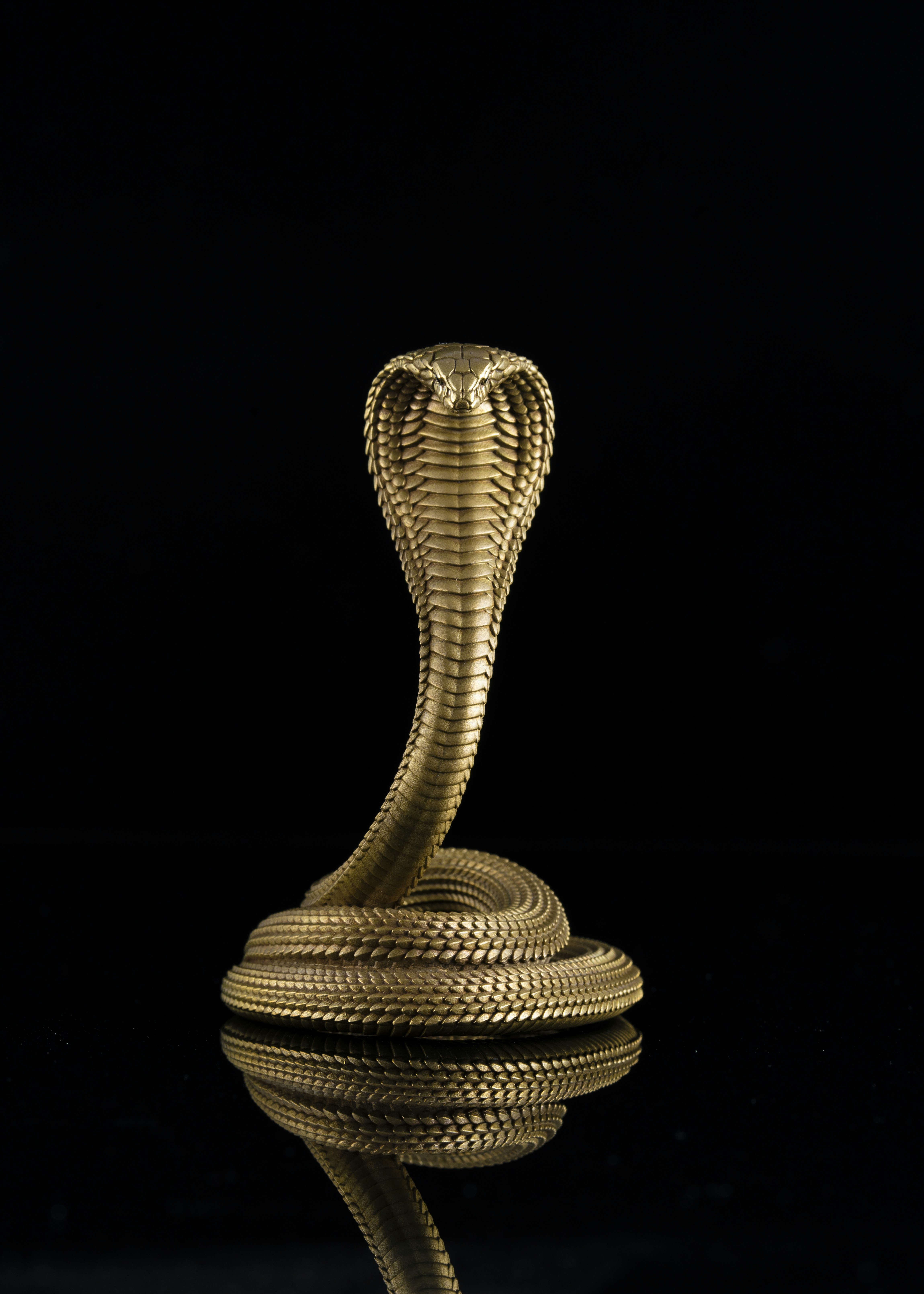 Designed by COPPERTIST.WU