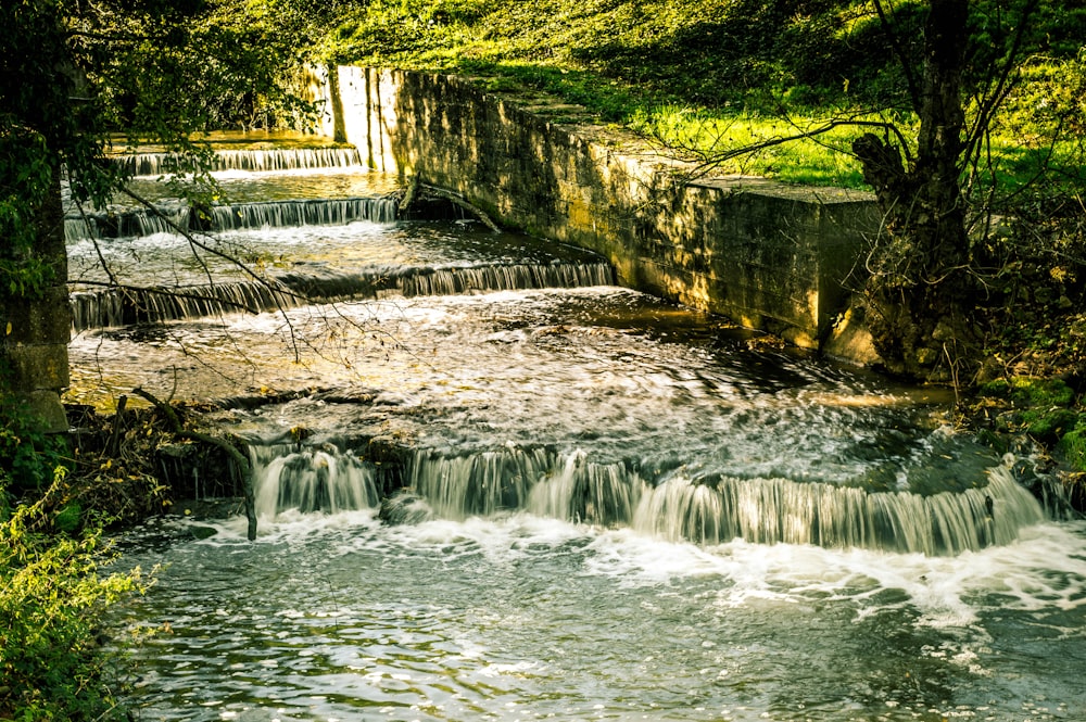 a waterfall with trees around it