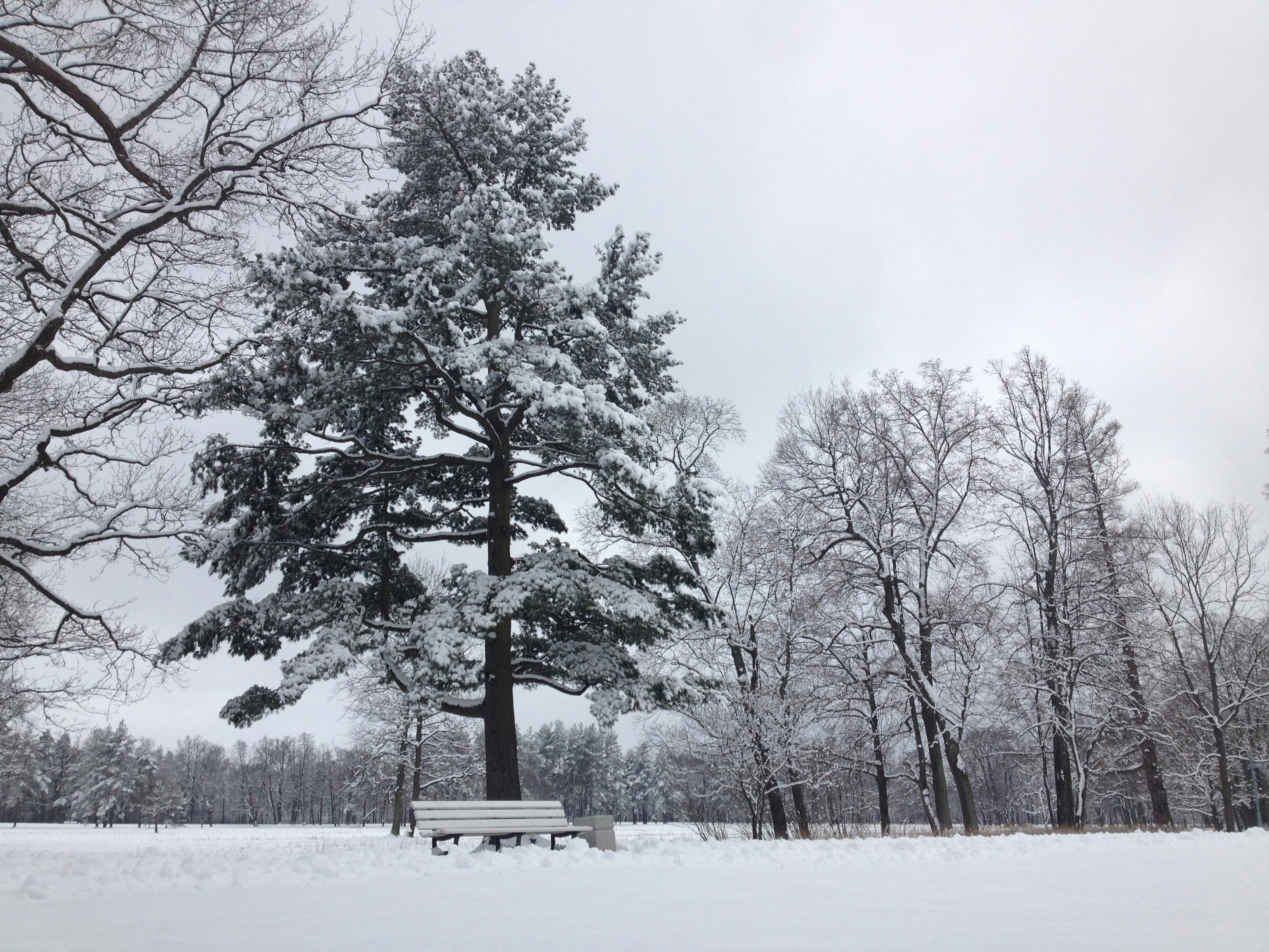 Photo by tashakostyuk