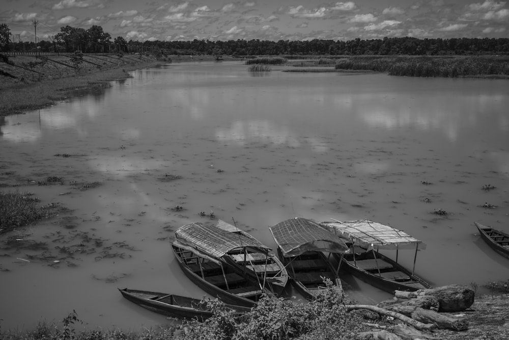 boats on the water