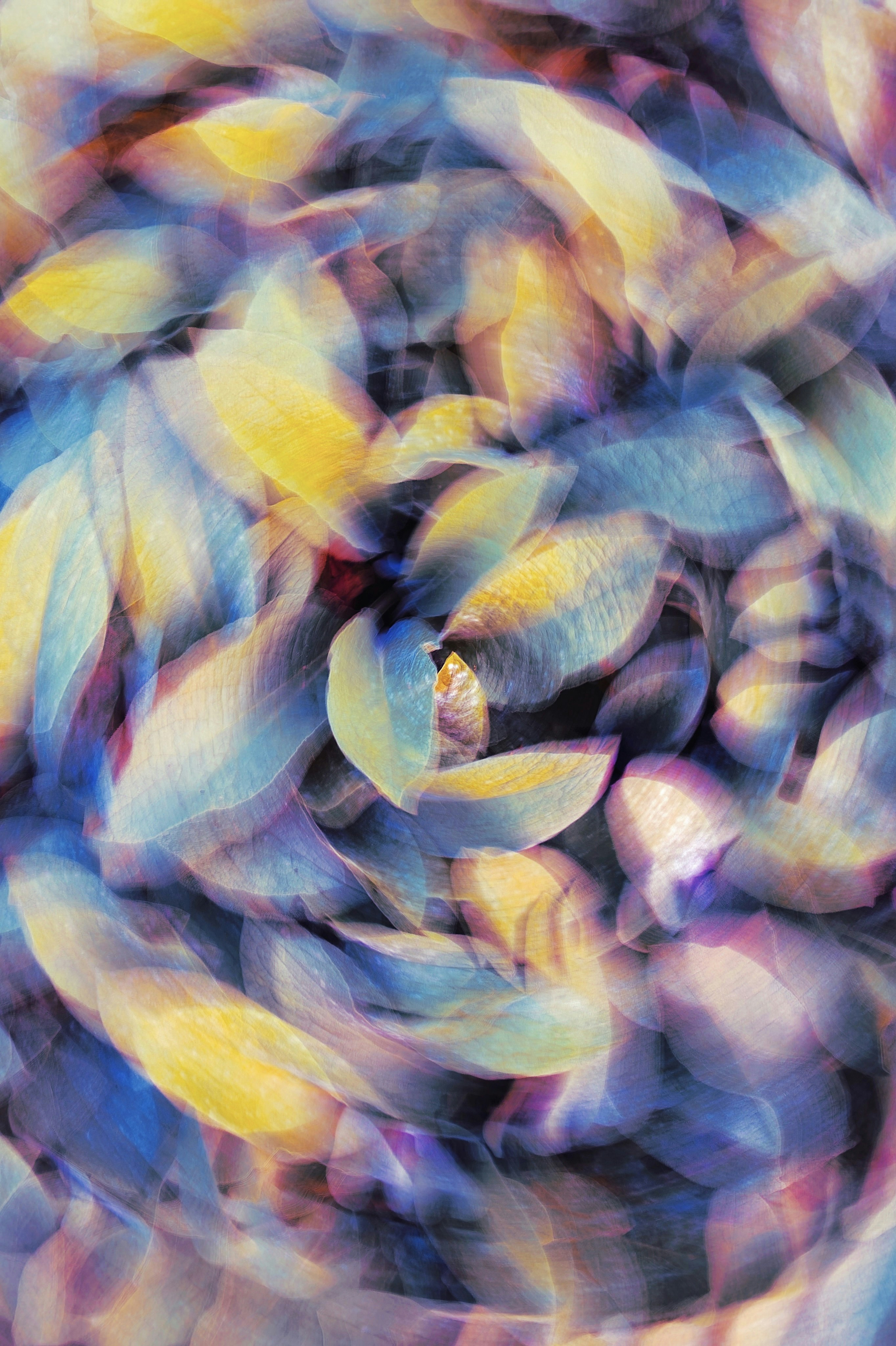 Photo by eugene_golovesov