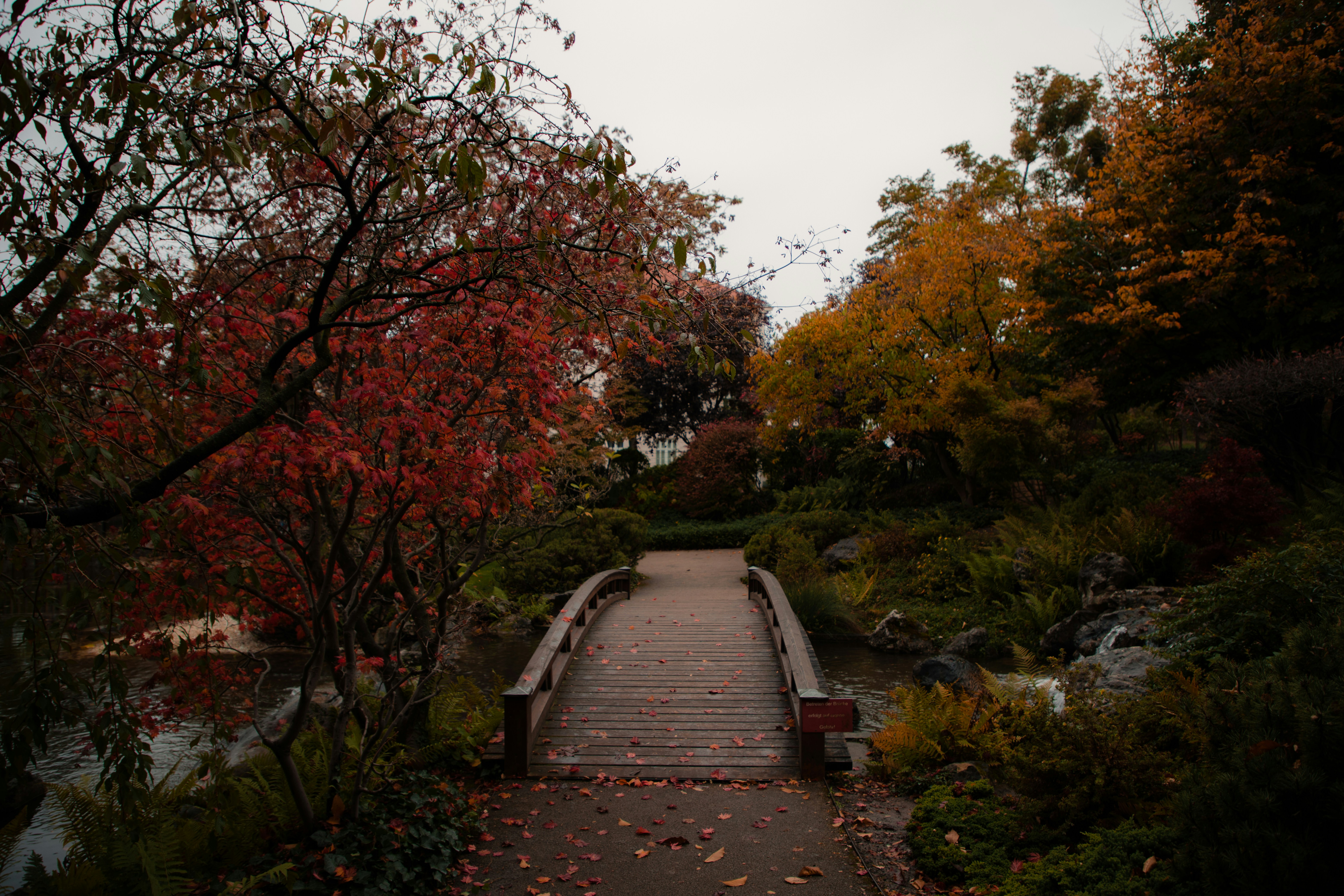 a wooden bridge over a river, Jovan Vasiljević Photography | A beautiful view of Setagaya Park (Vienna). The park was designed by landscape gardener Ken Nakajima from Japan. Particularly noteworthy plantings are the Japanese maple, ornamental cherry trees, and azaleas. The rich variety of plants creates an everchanging display from season to season.
