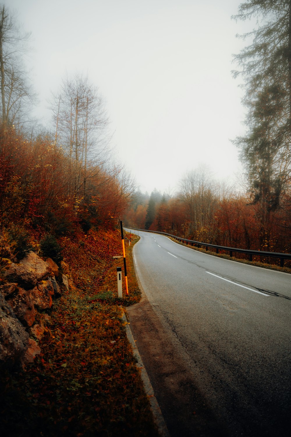 a road with trees on the side