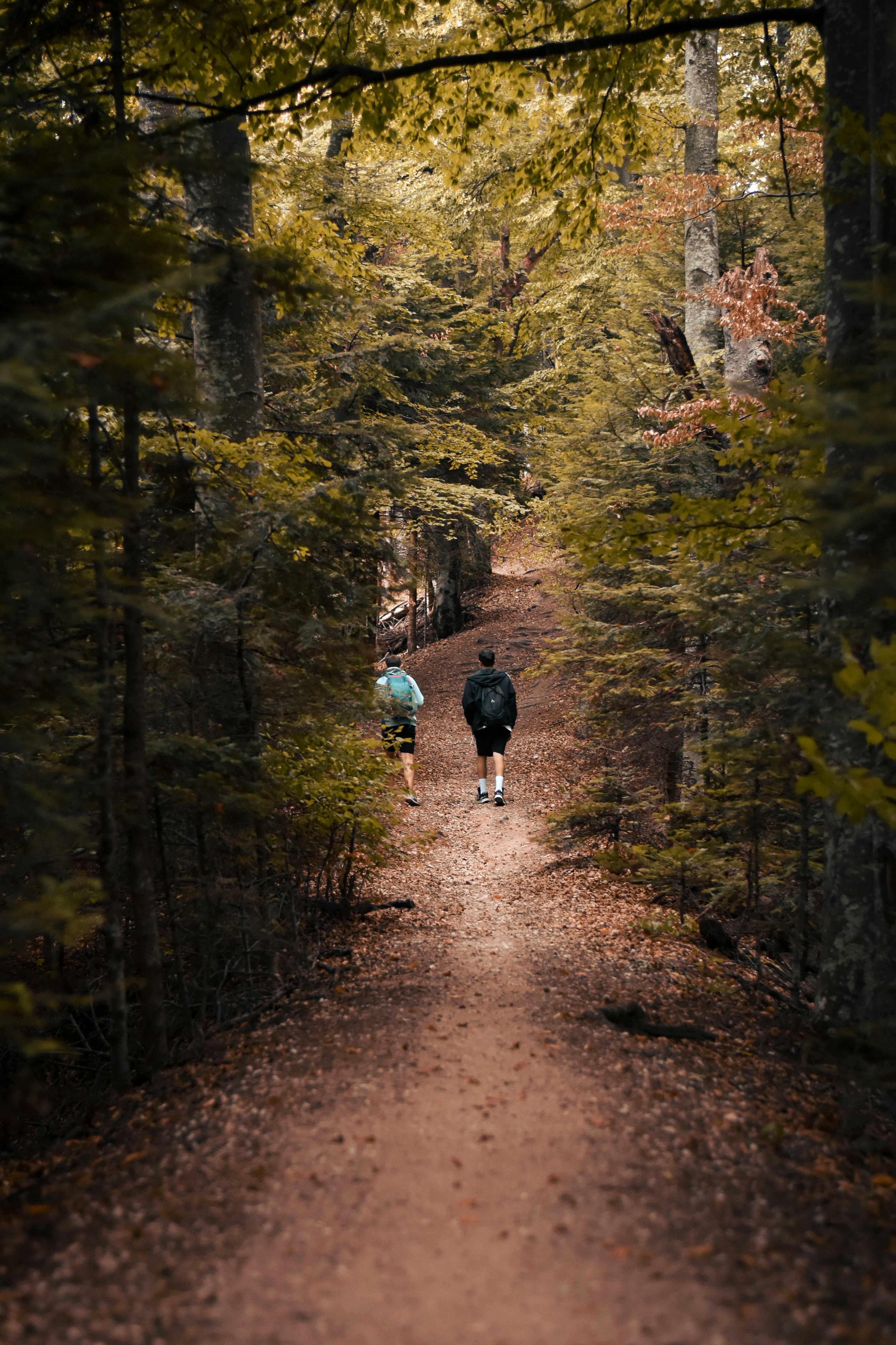 Photo by lawrentziu04