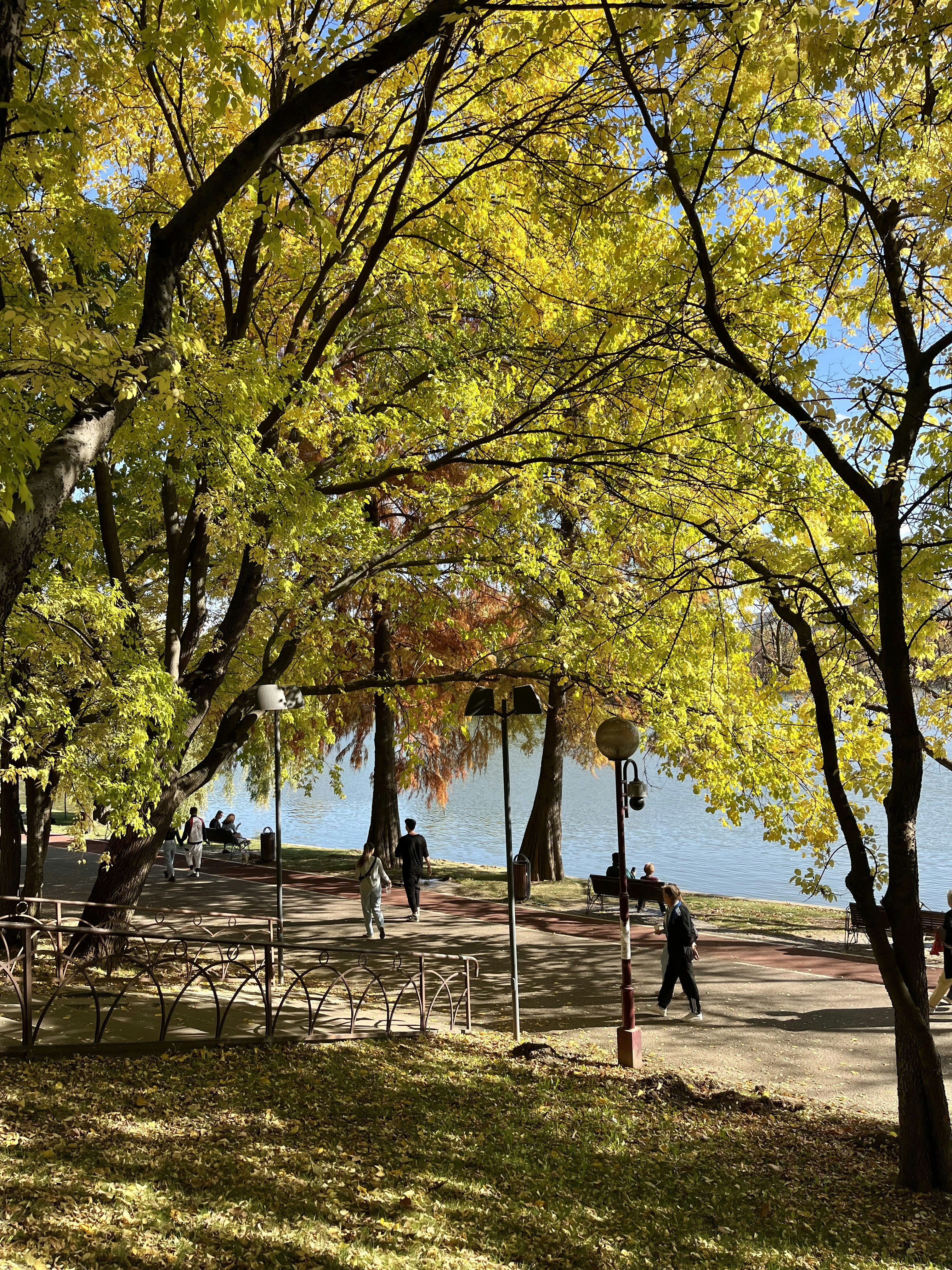 a group of people walking on a path by a body of water