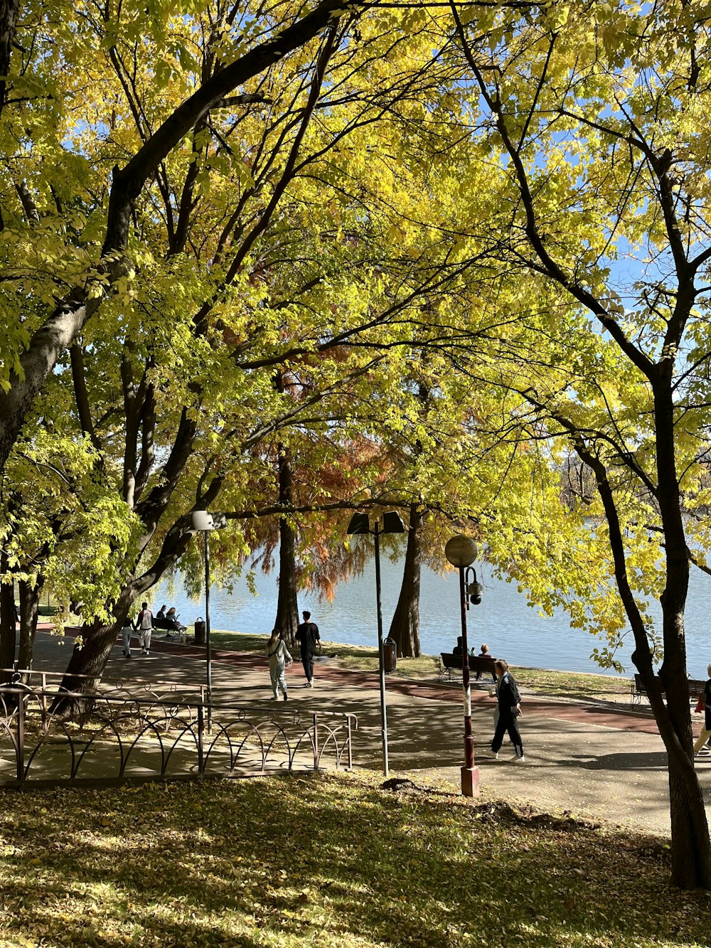 a group of people walking on a path by a body of water