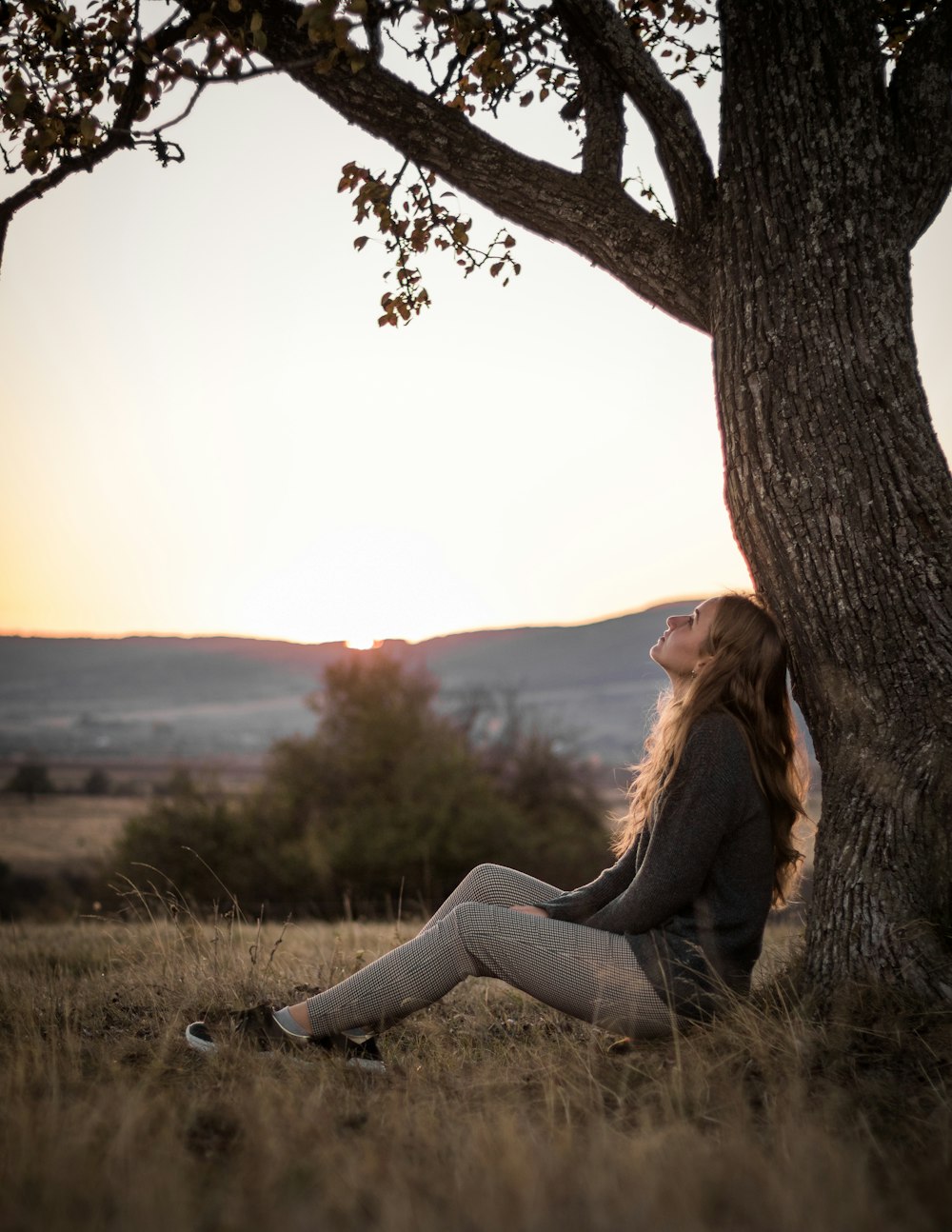 a person sitting on a tree