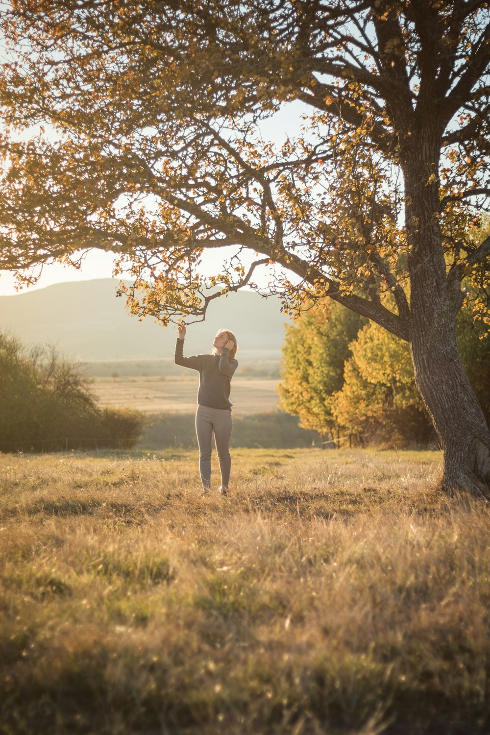 a person standing under a tree