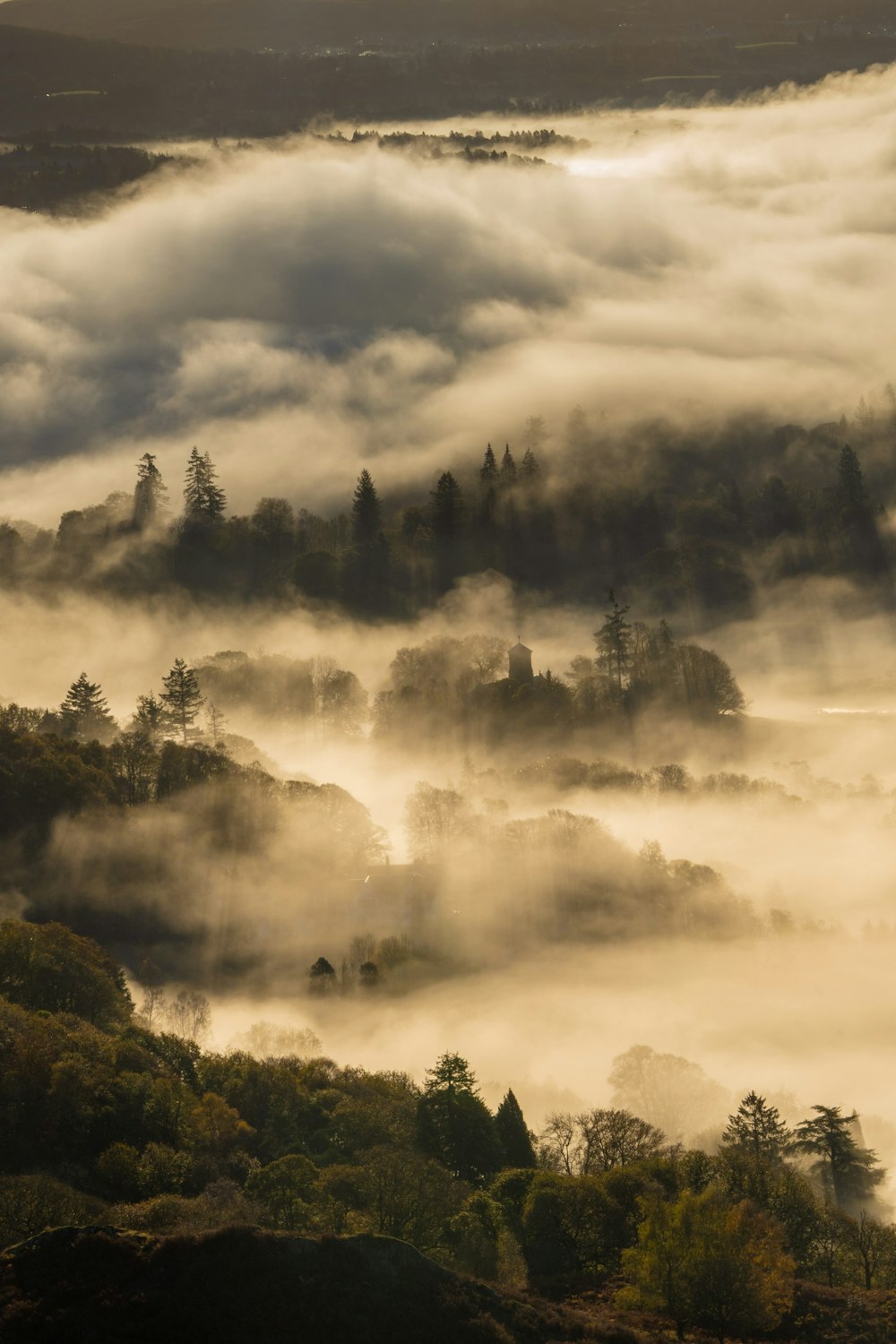 a foggy valley with trees