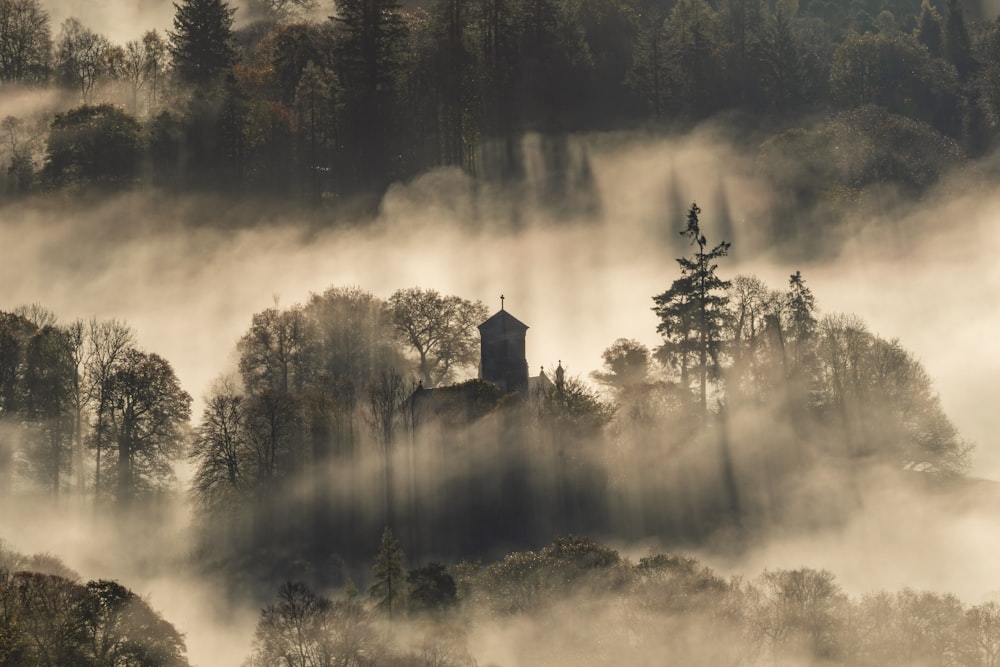 a foggy field with trees and a building in the distance