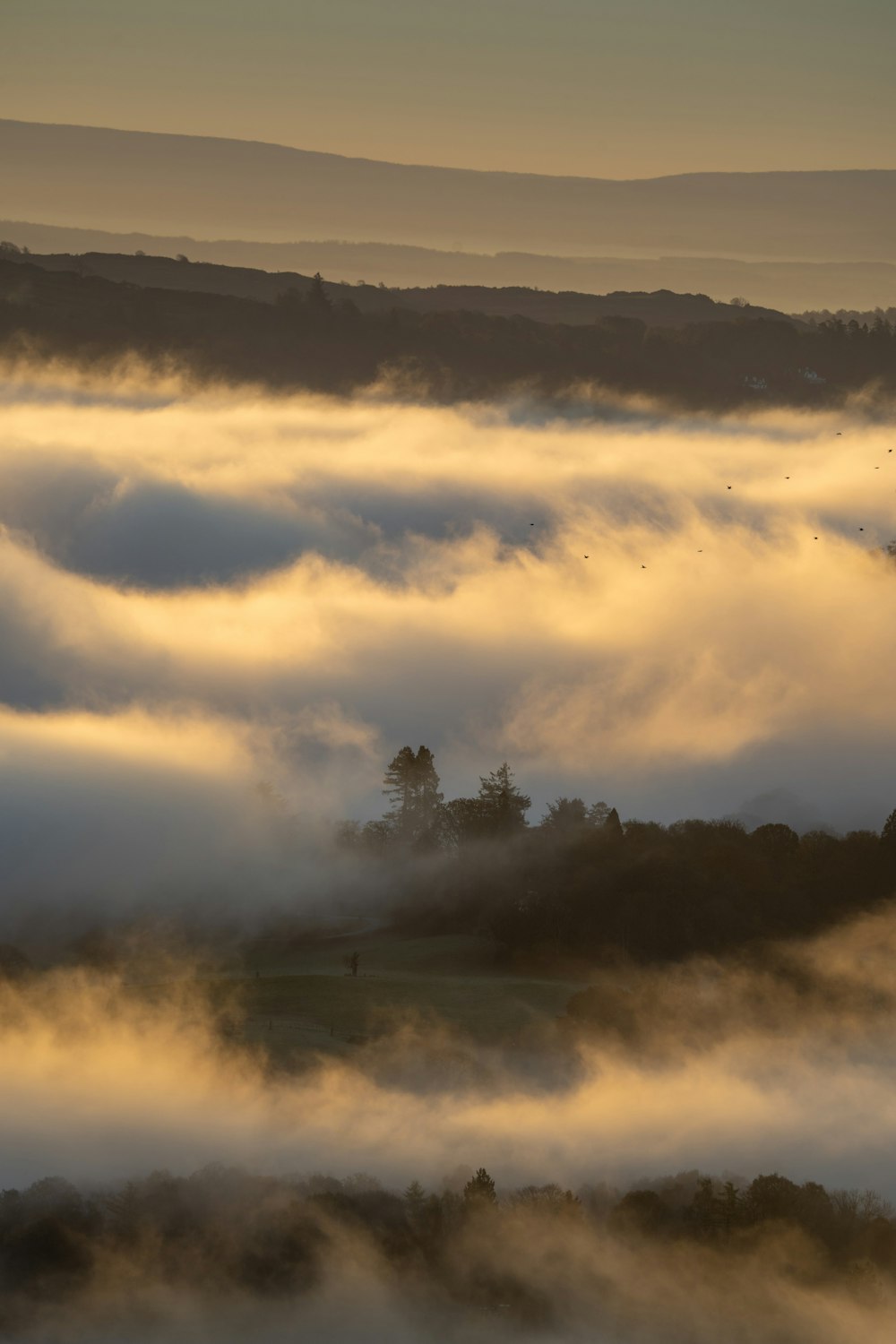 a foggy lake with trees and a cloudy sky