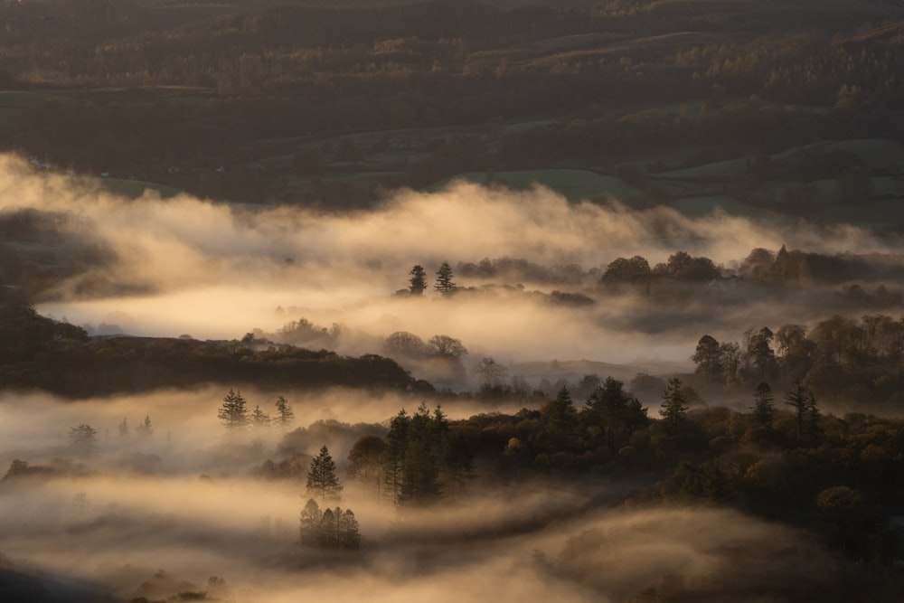 a foggy landscape with trees and clouds