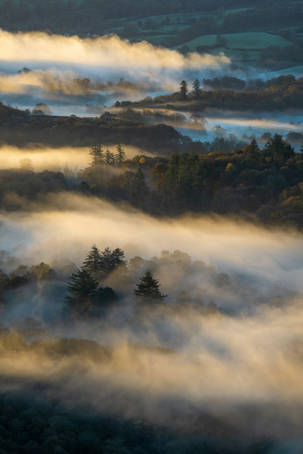 a foggy valley with trees and clouds