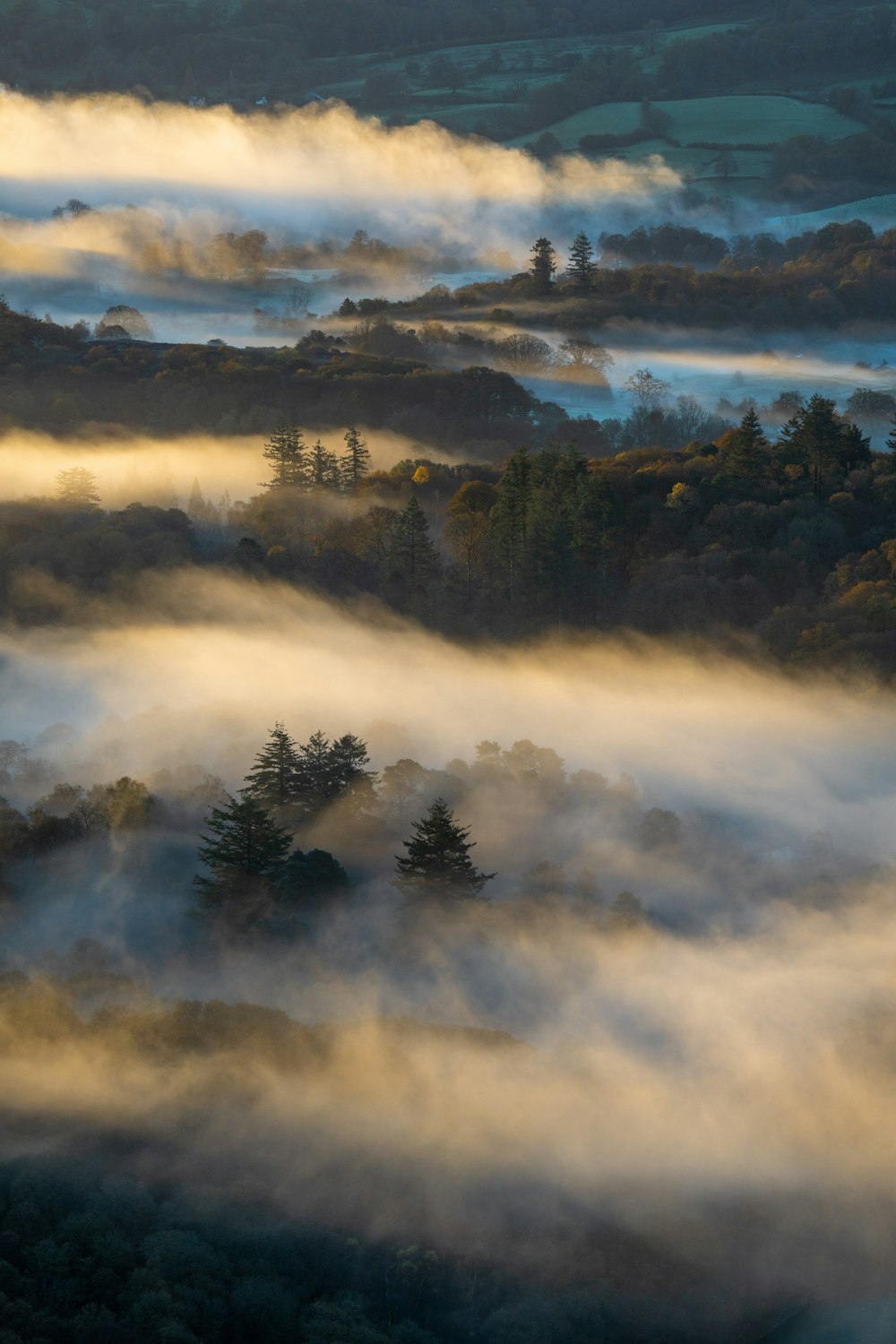 Une vallée brumeuse avec des arbres et des nuages