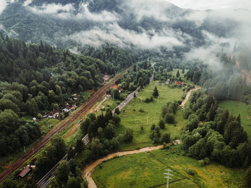 a train track going through a forest