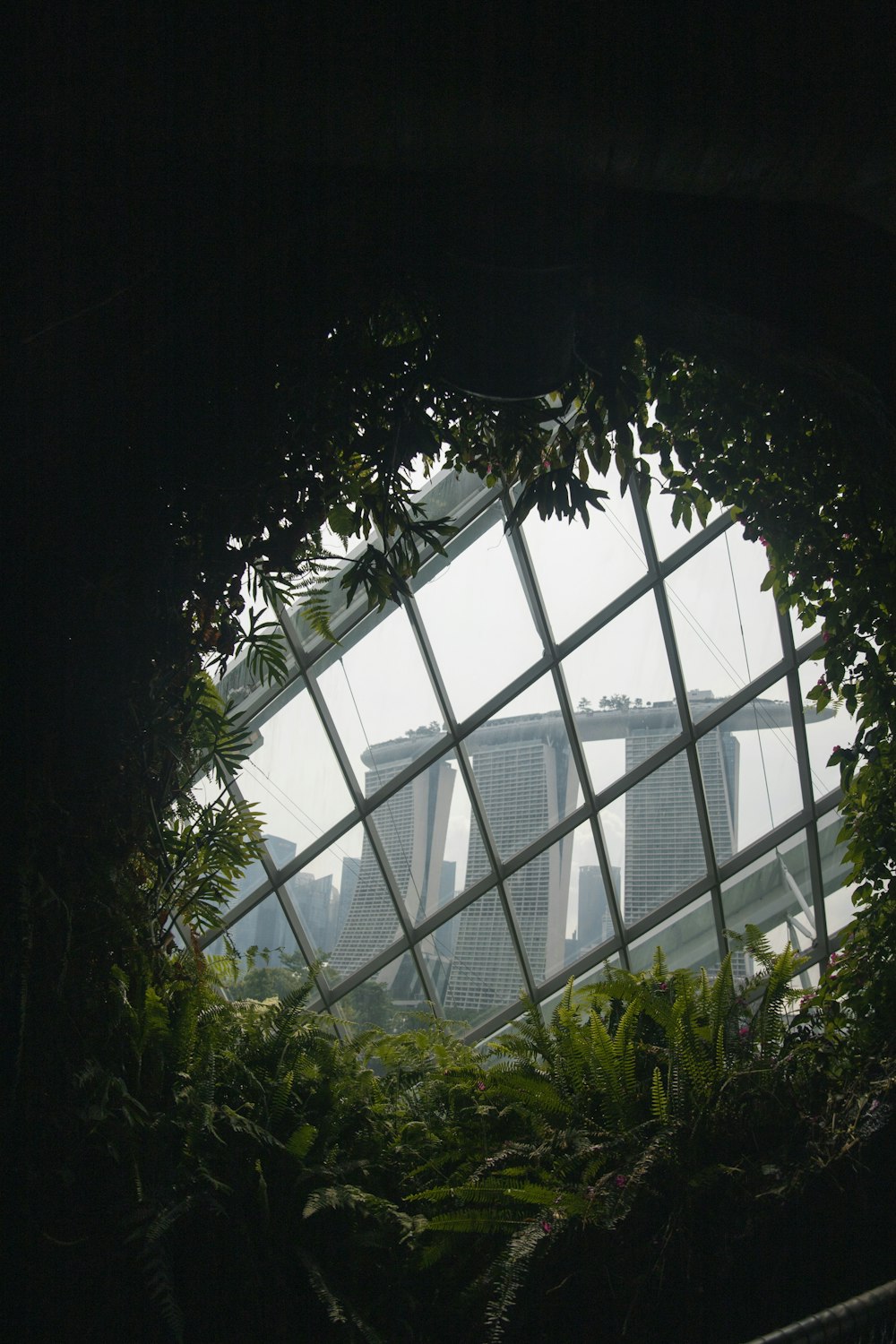 a building with a large glass window