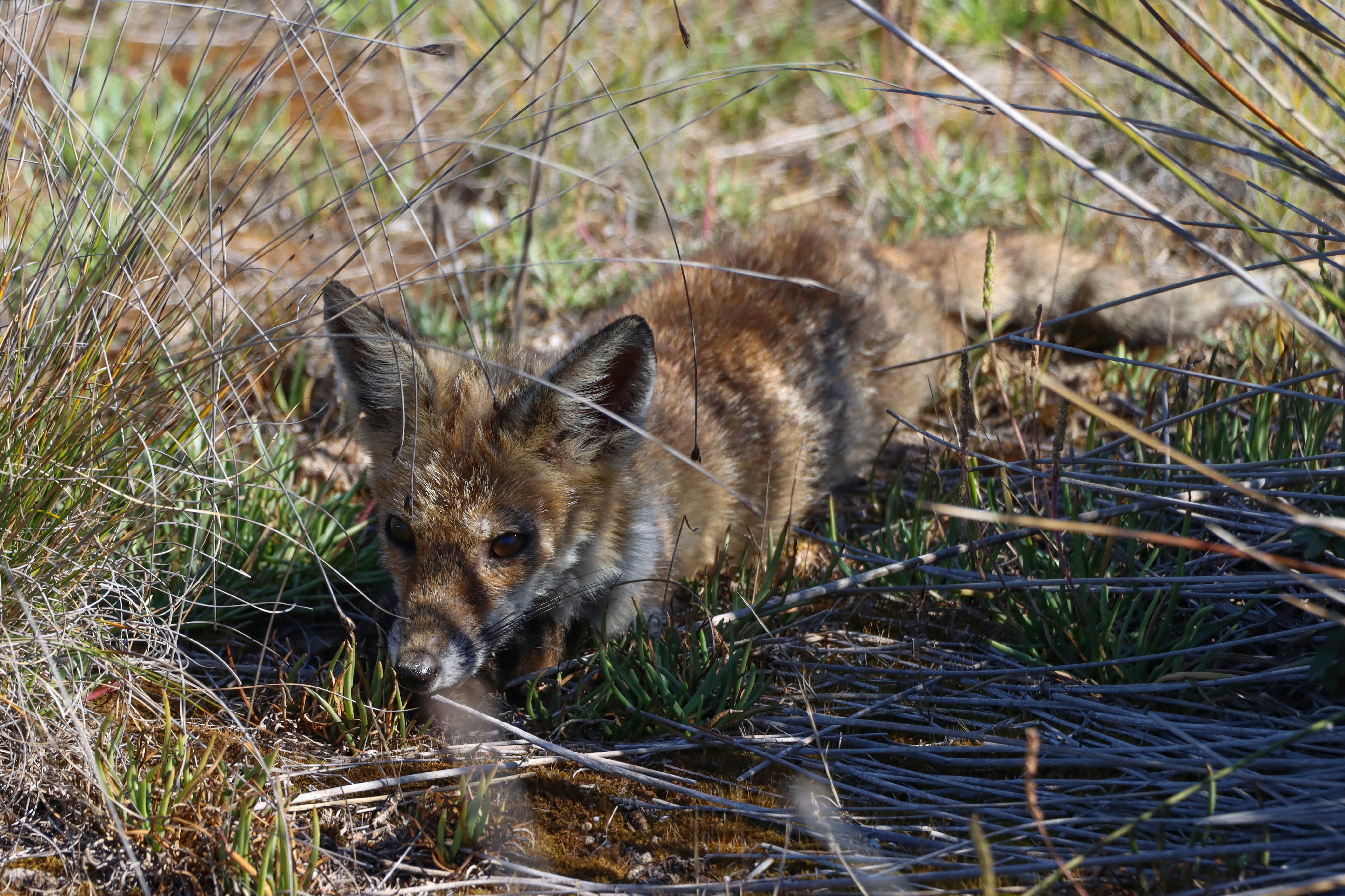 Photo by fonzhousefonzie