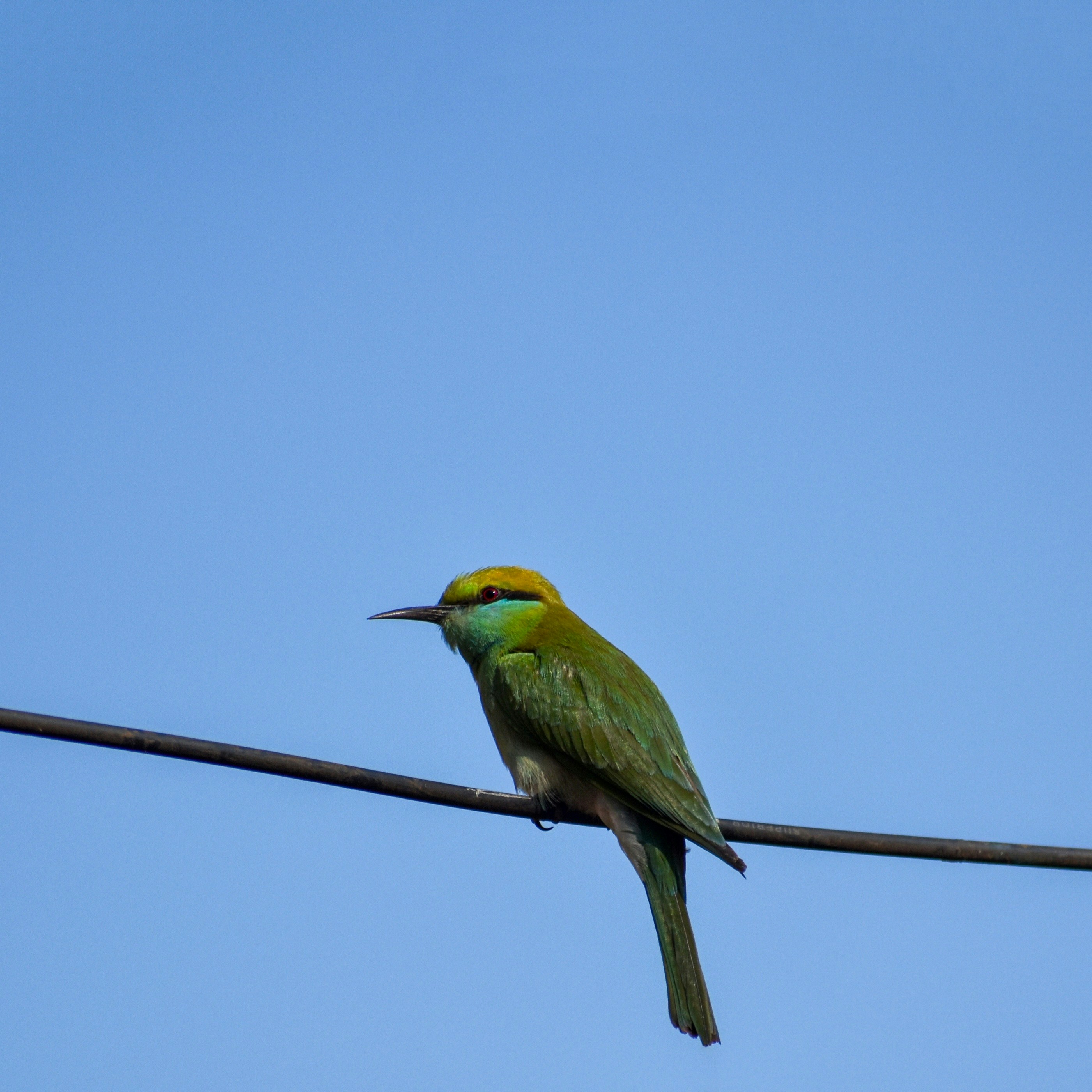 Photo by shoebkhatib