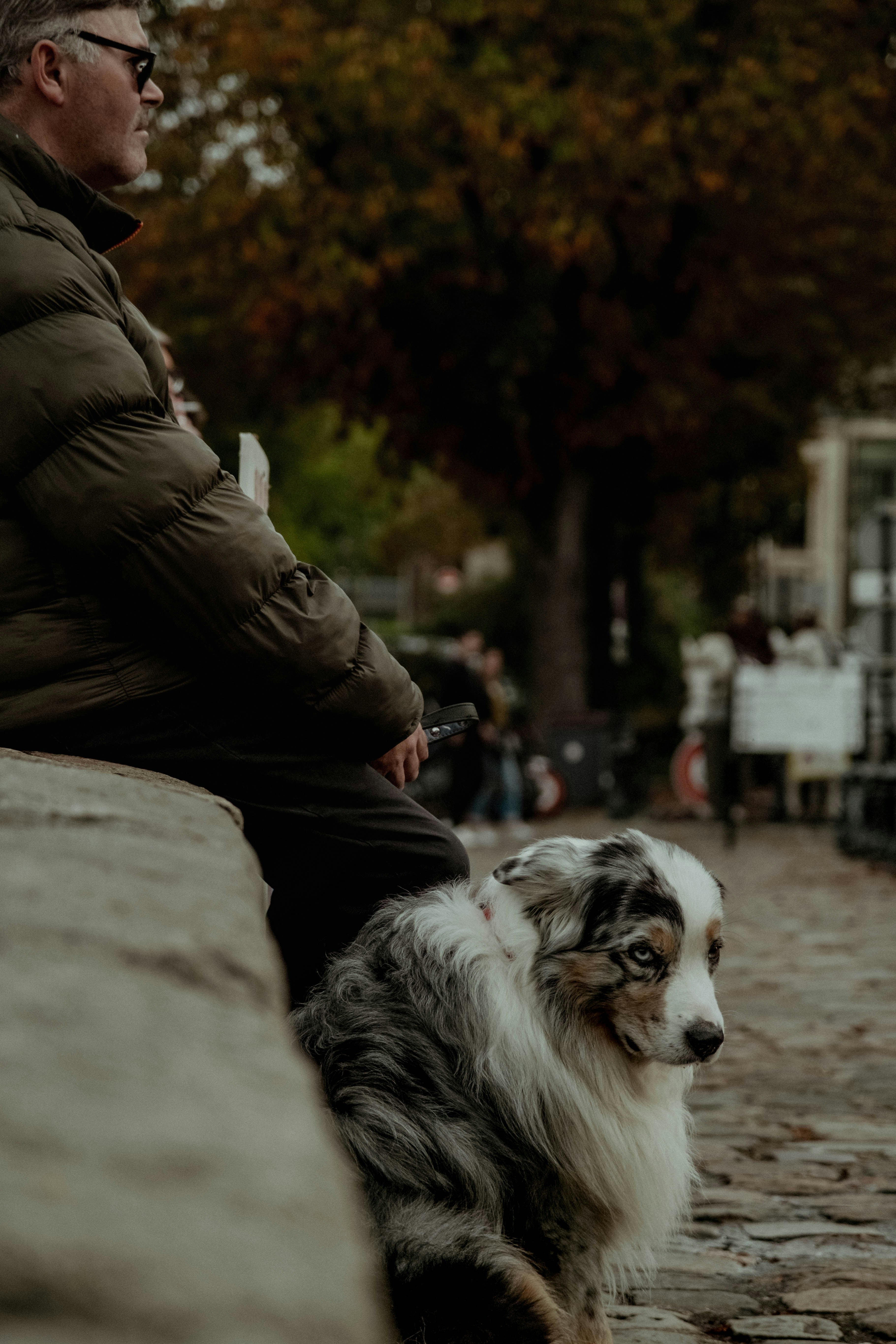 A man sitting on a bench with a dog photo – Free Dog Image on Unsplash