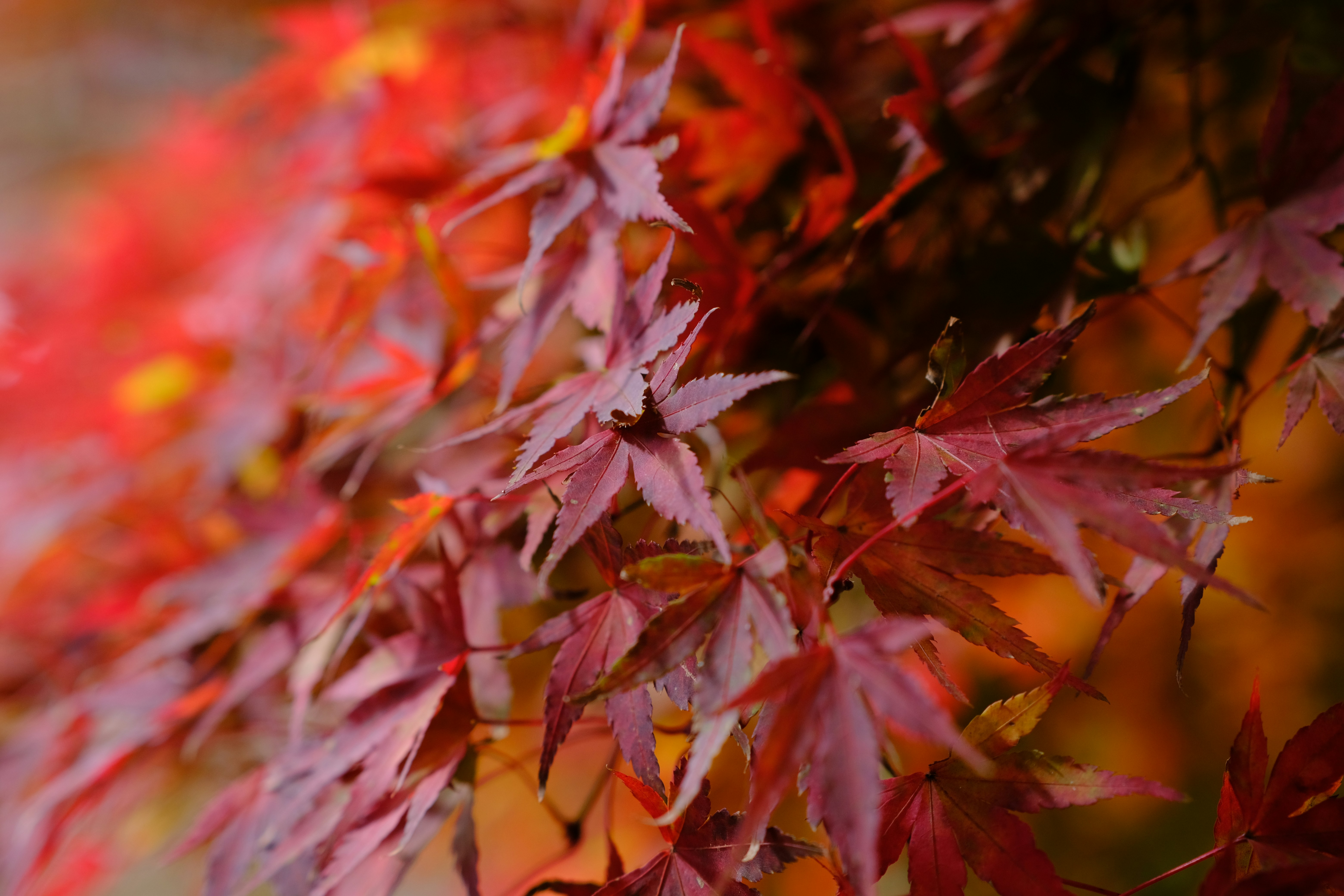 Photo by capture_at_moments