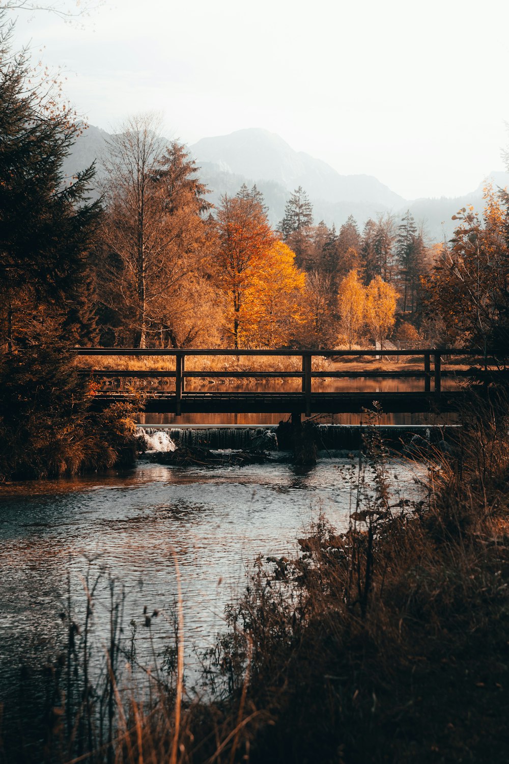 a bridge over a river