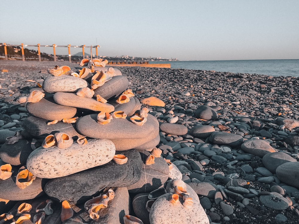 a group of rocks on a beach