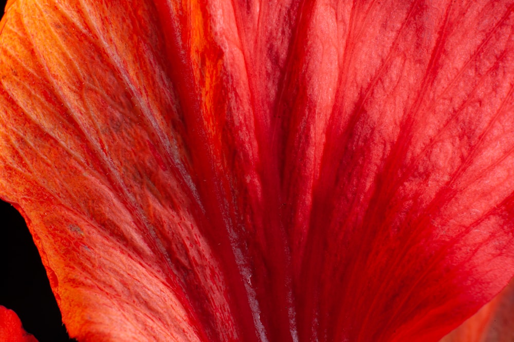 a close up of a red fabric