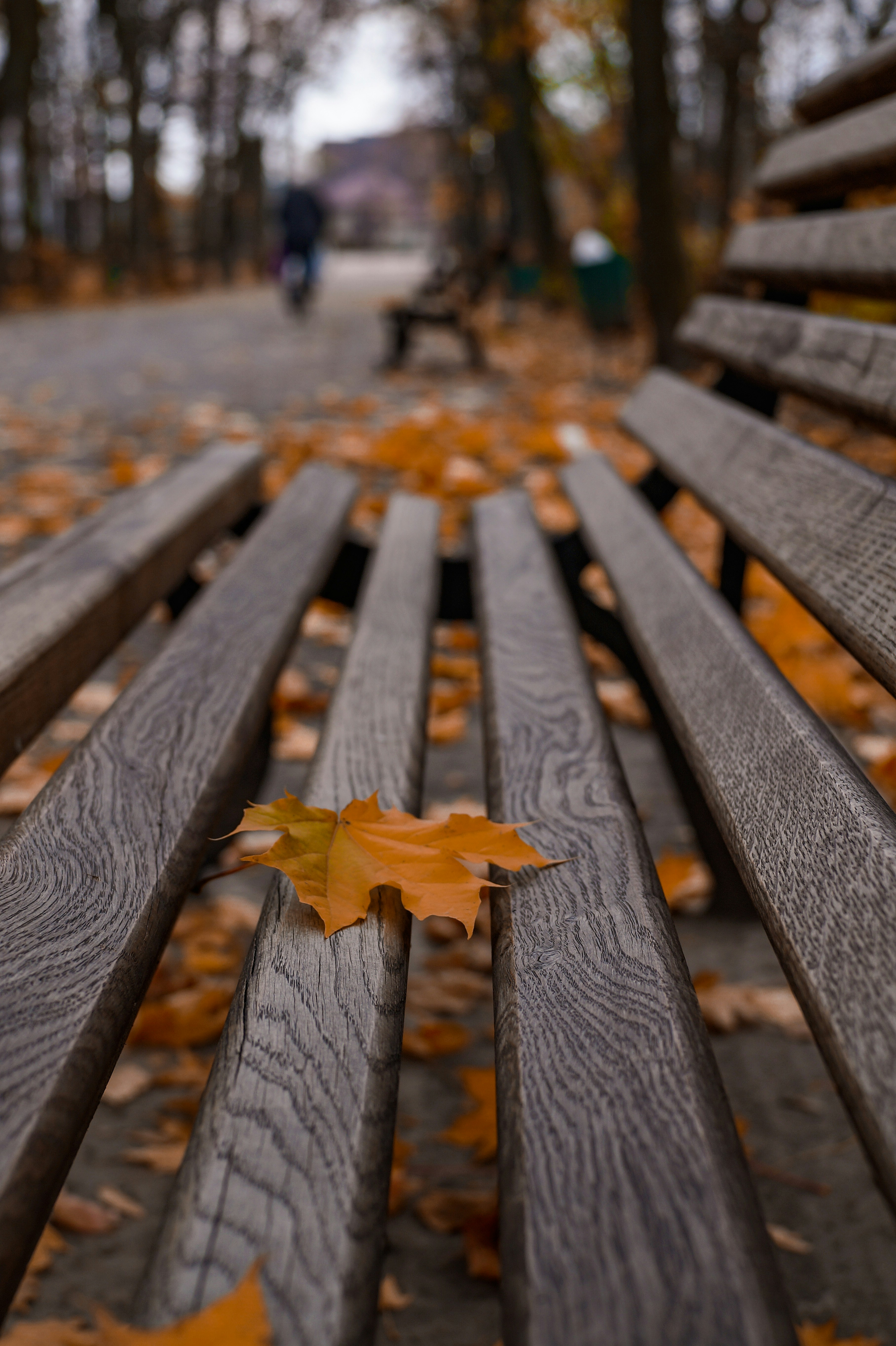 Photo by valentine_ivanova