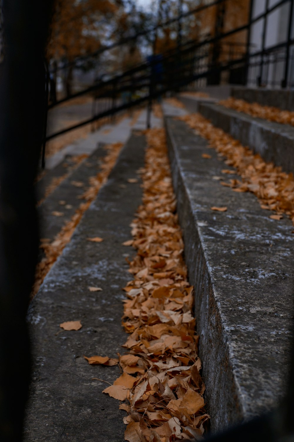 a sidewalk with leaves on it