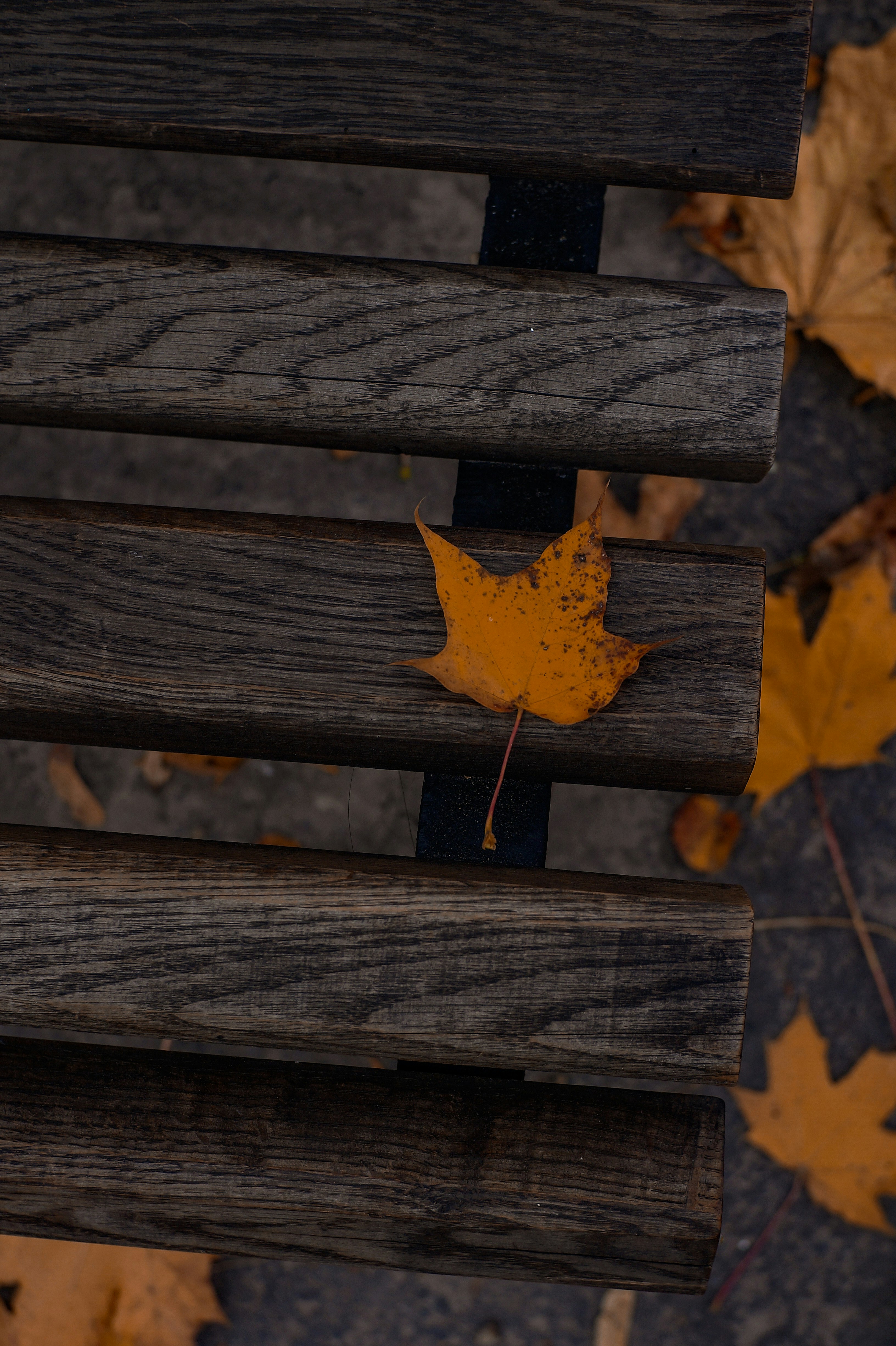 Photo by valentine_ivanova