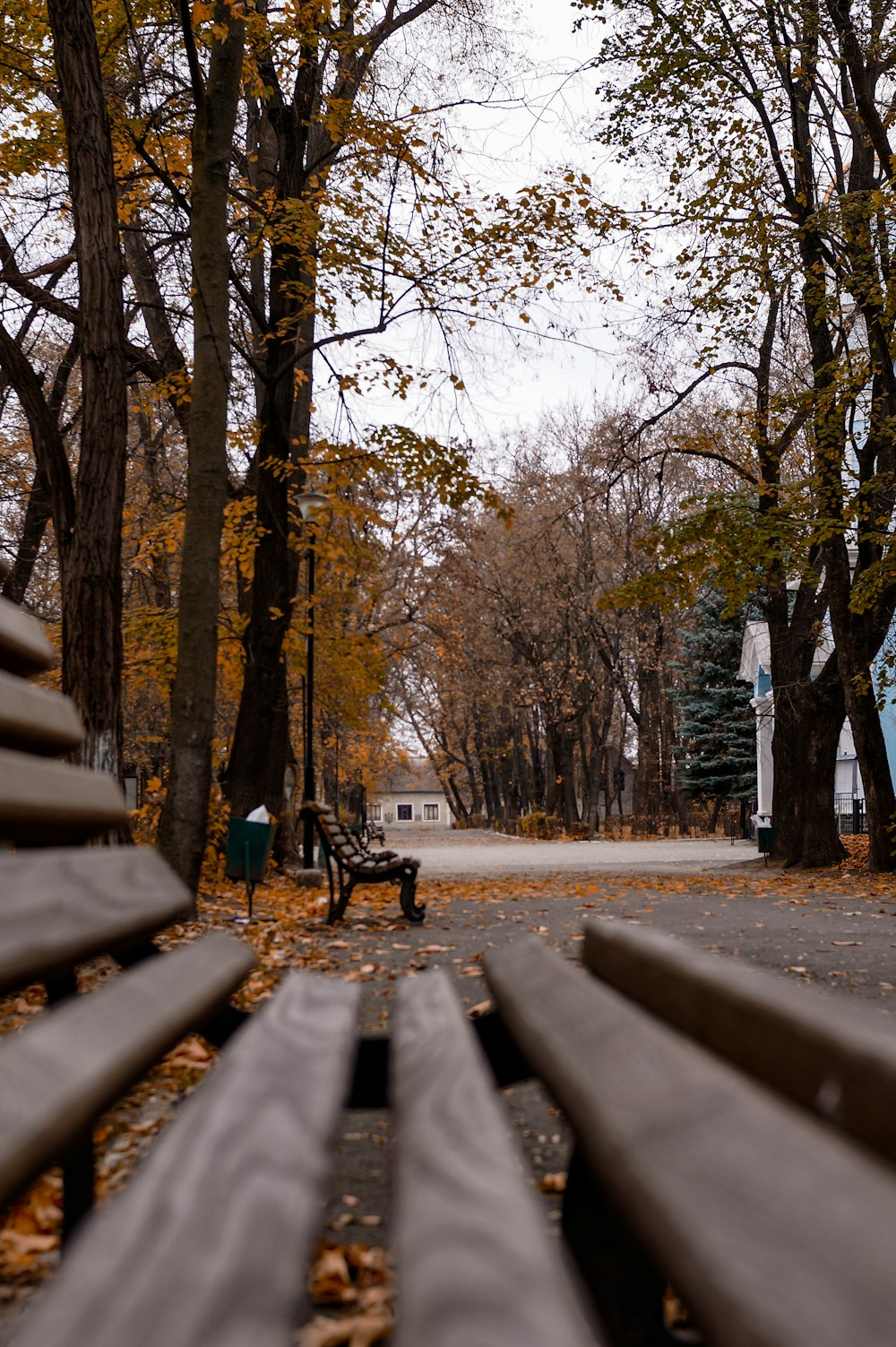 a park with benches