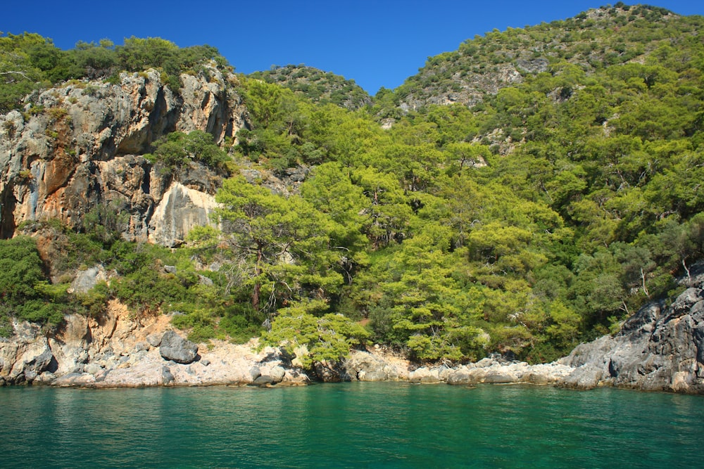 a rocky hillside with trees and water